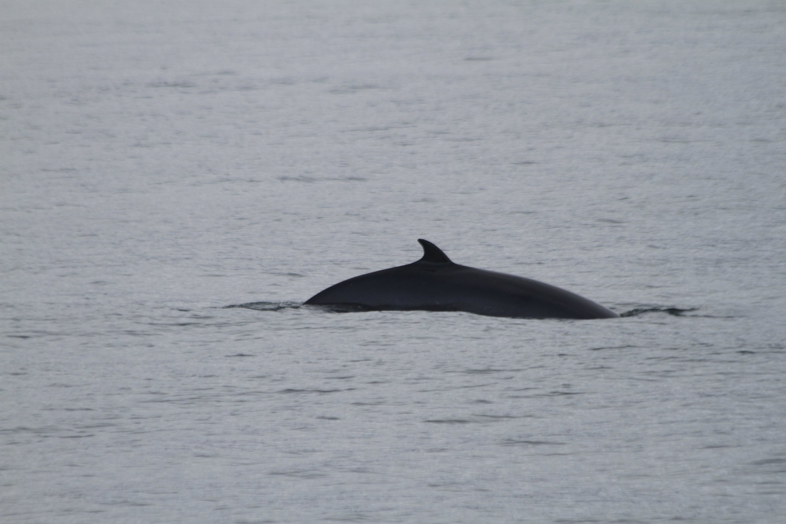 Thursday, 5 October 2023