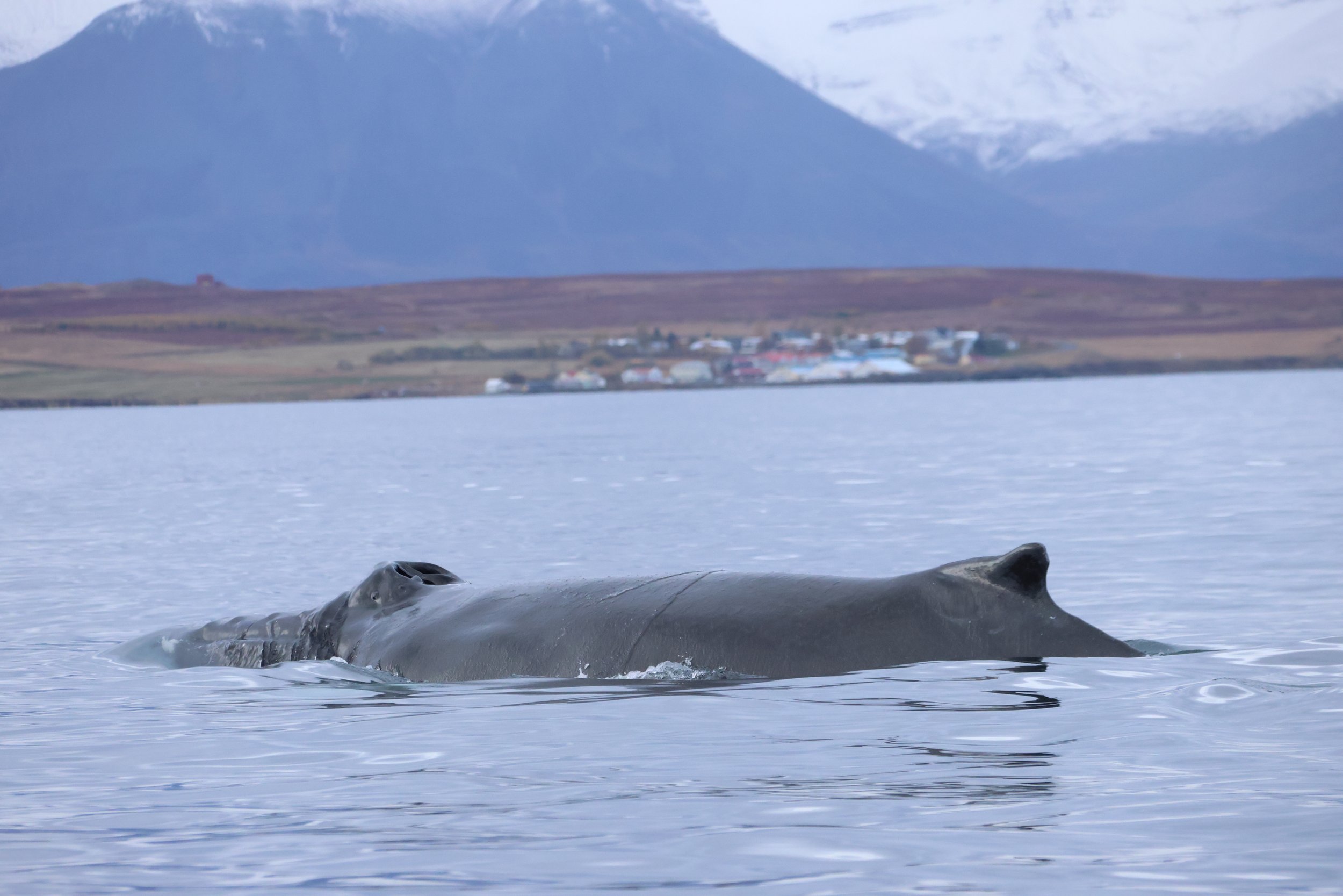 Thursday, 5 October 2023