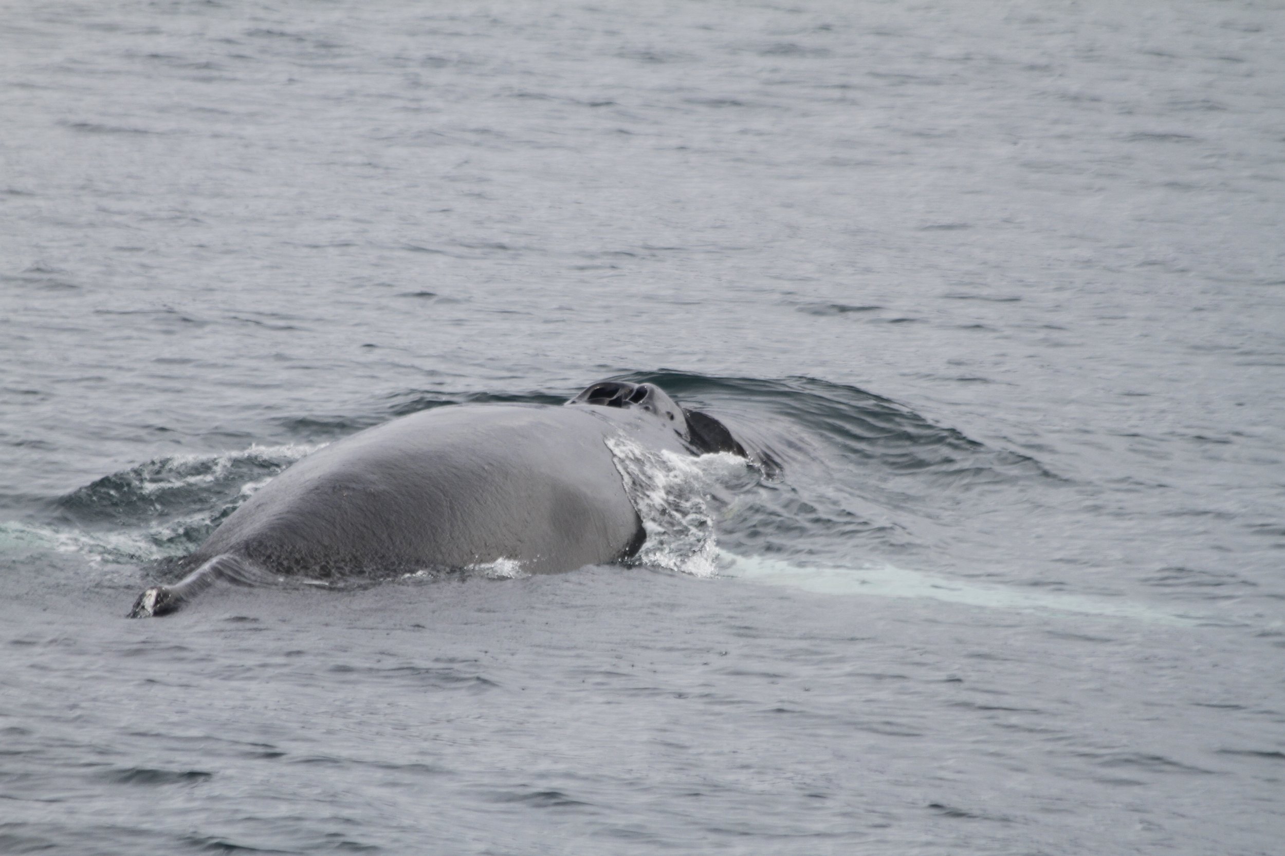 Friday, 6 October 2023