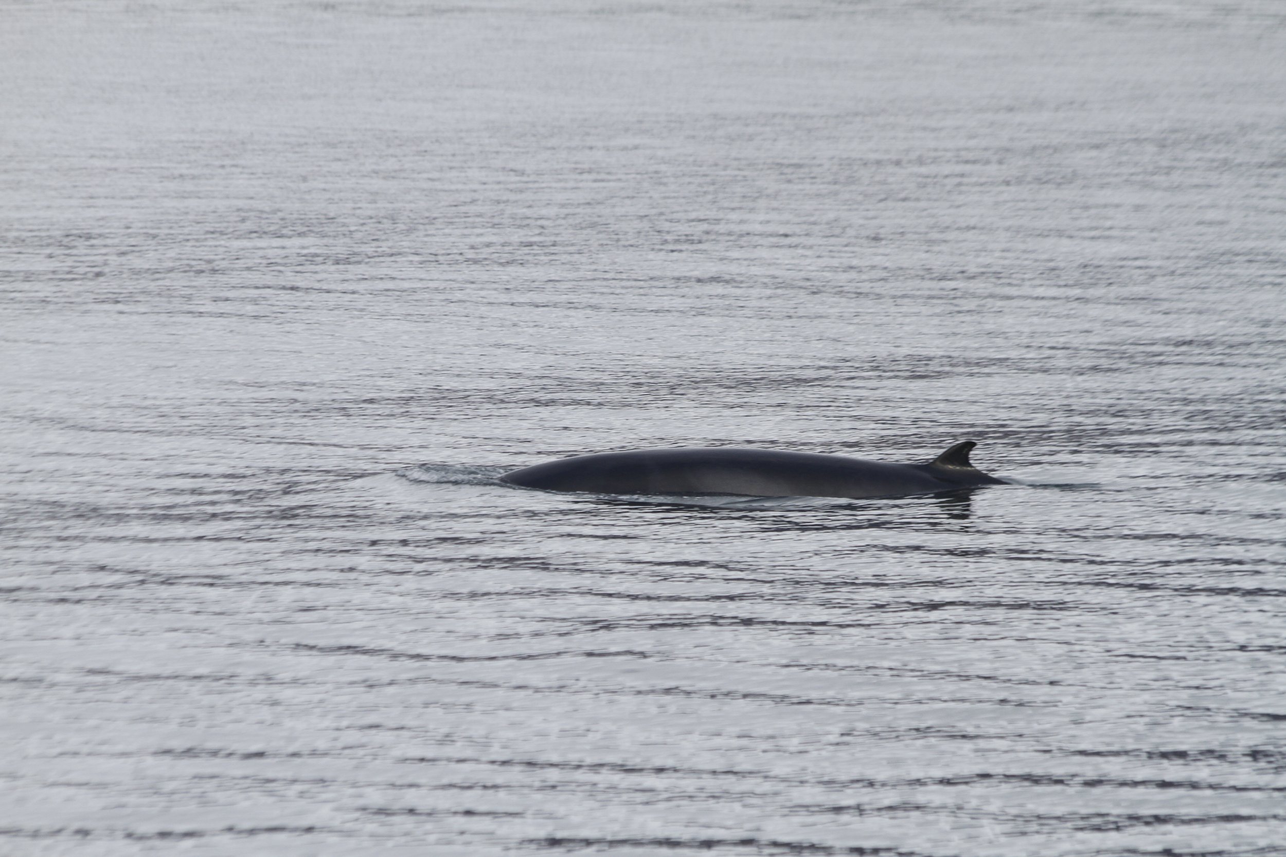 Friday, 6 October 2023