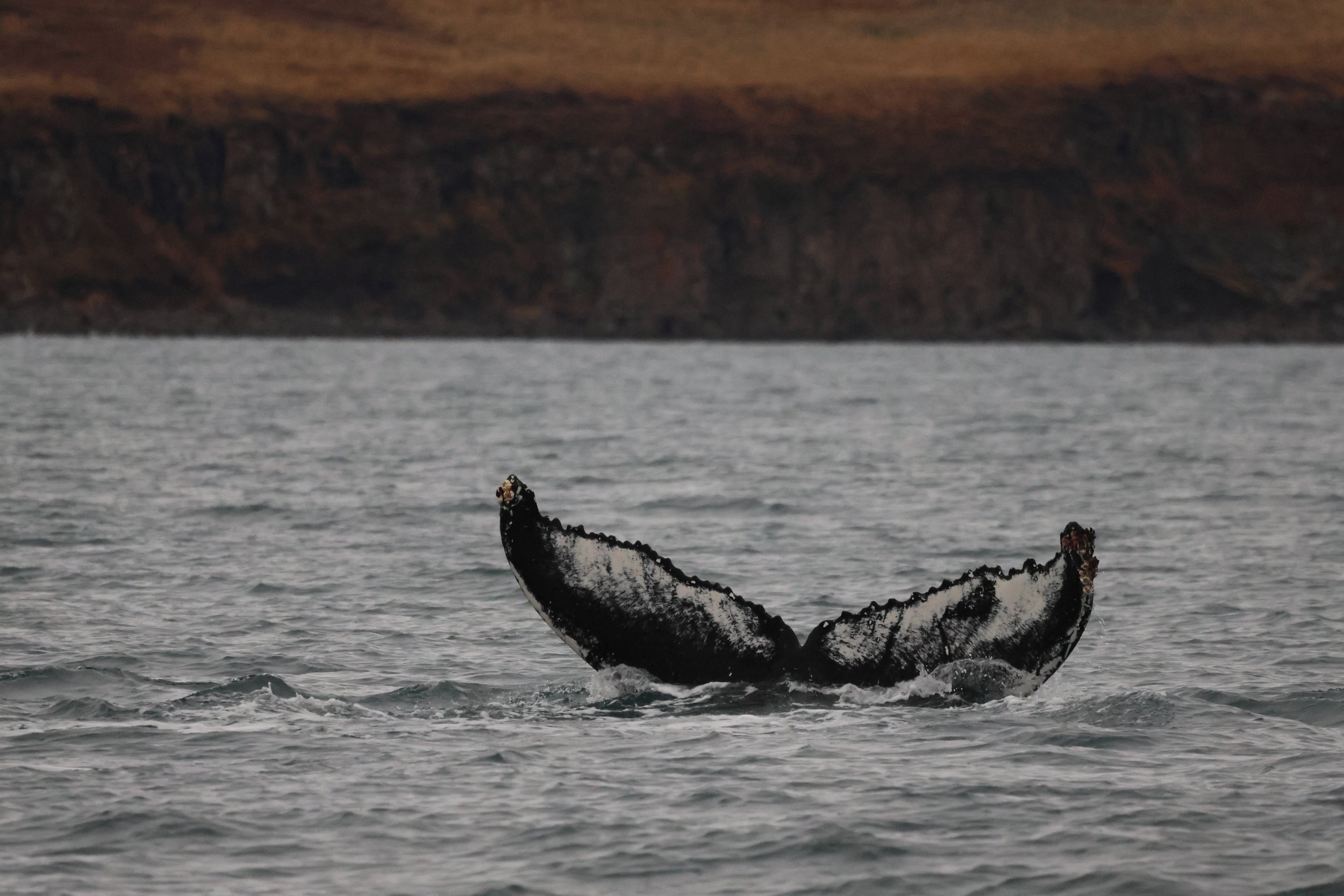 Tuesday, 17 October 2023
