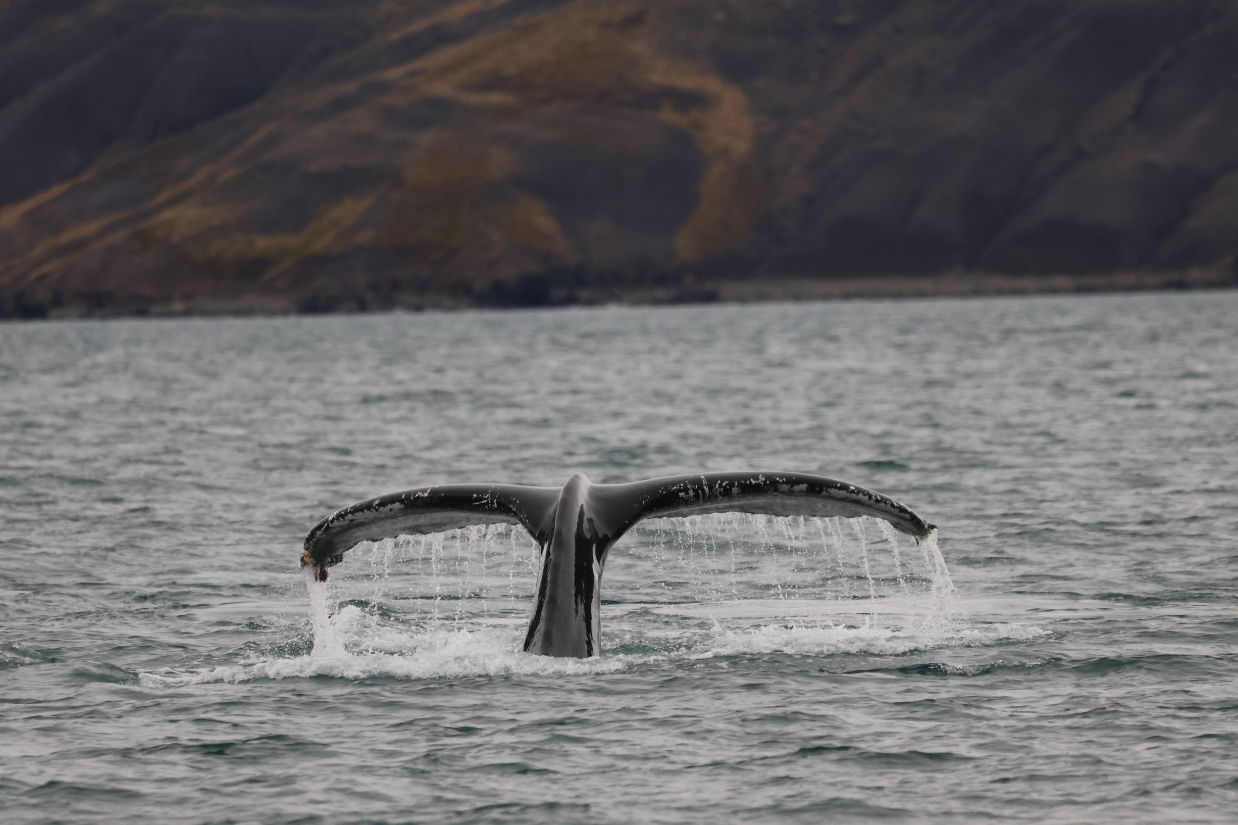 Tuesday, 17 October 2023