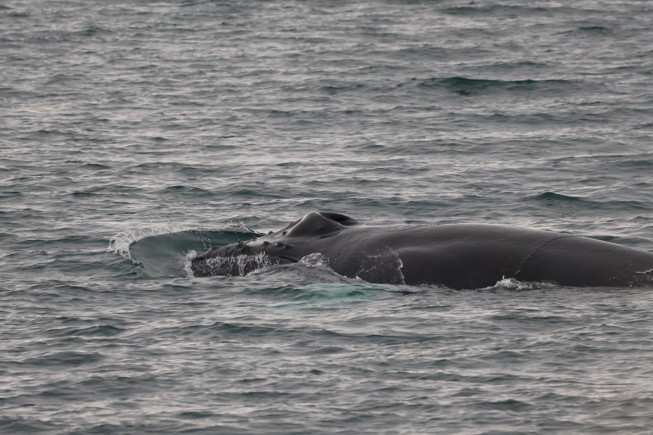 Tuesday, 17 October 2023