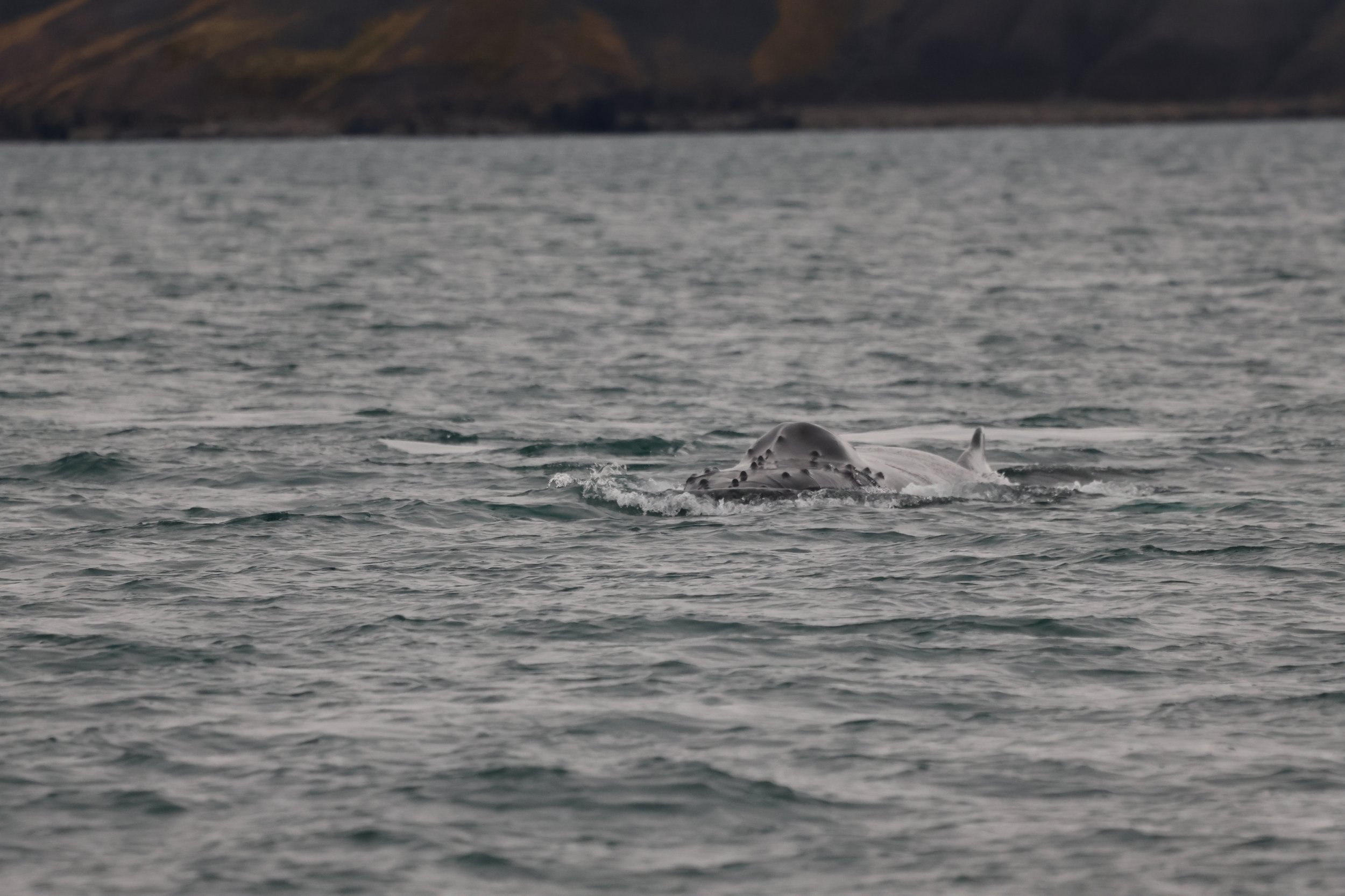 Tuesday, 17 October 2023