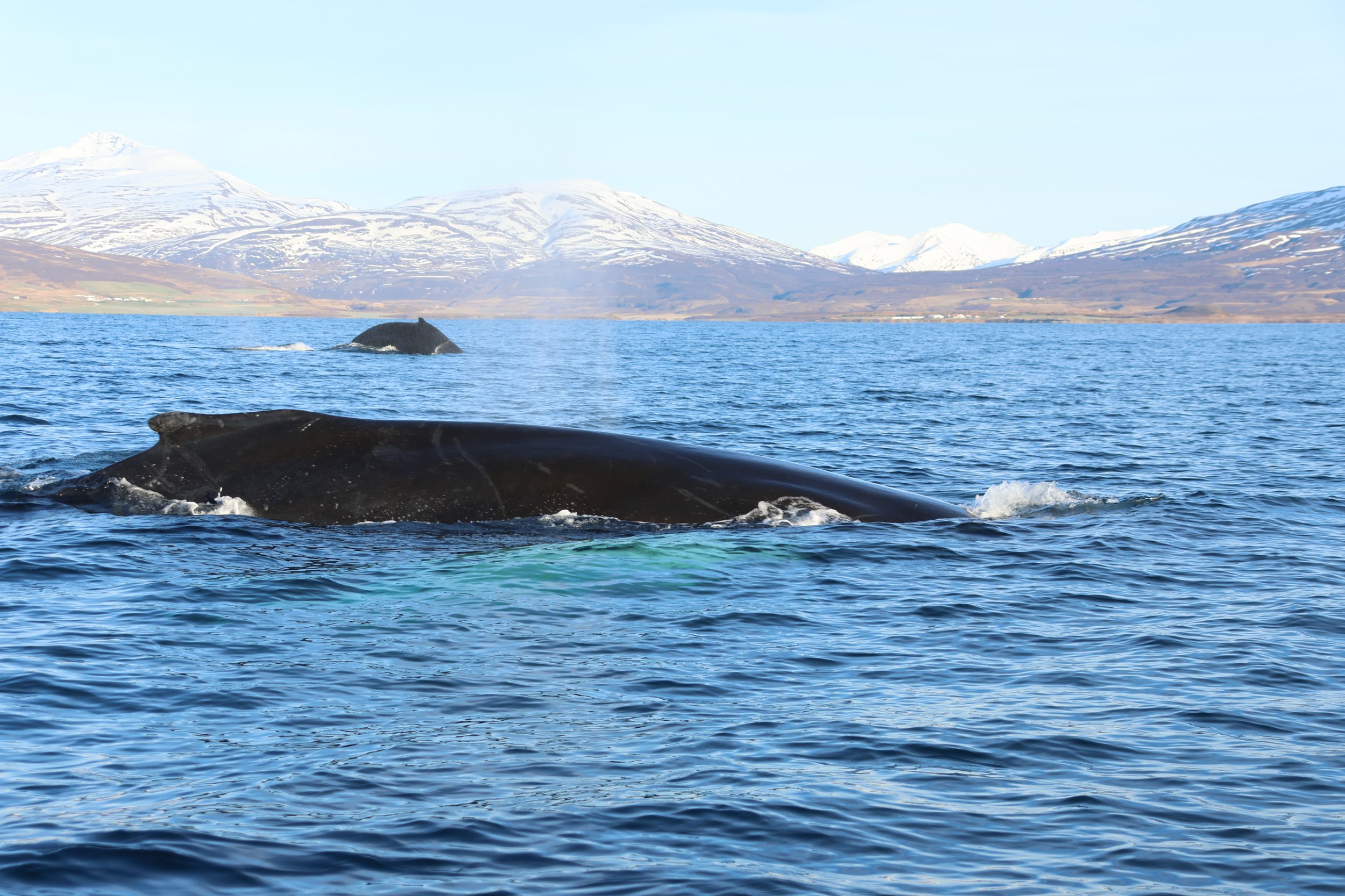 Wednesday, 25 October 2023