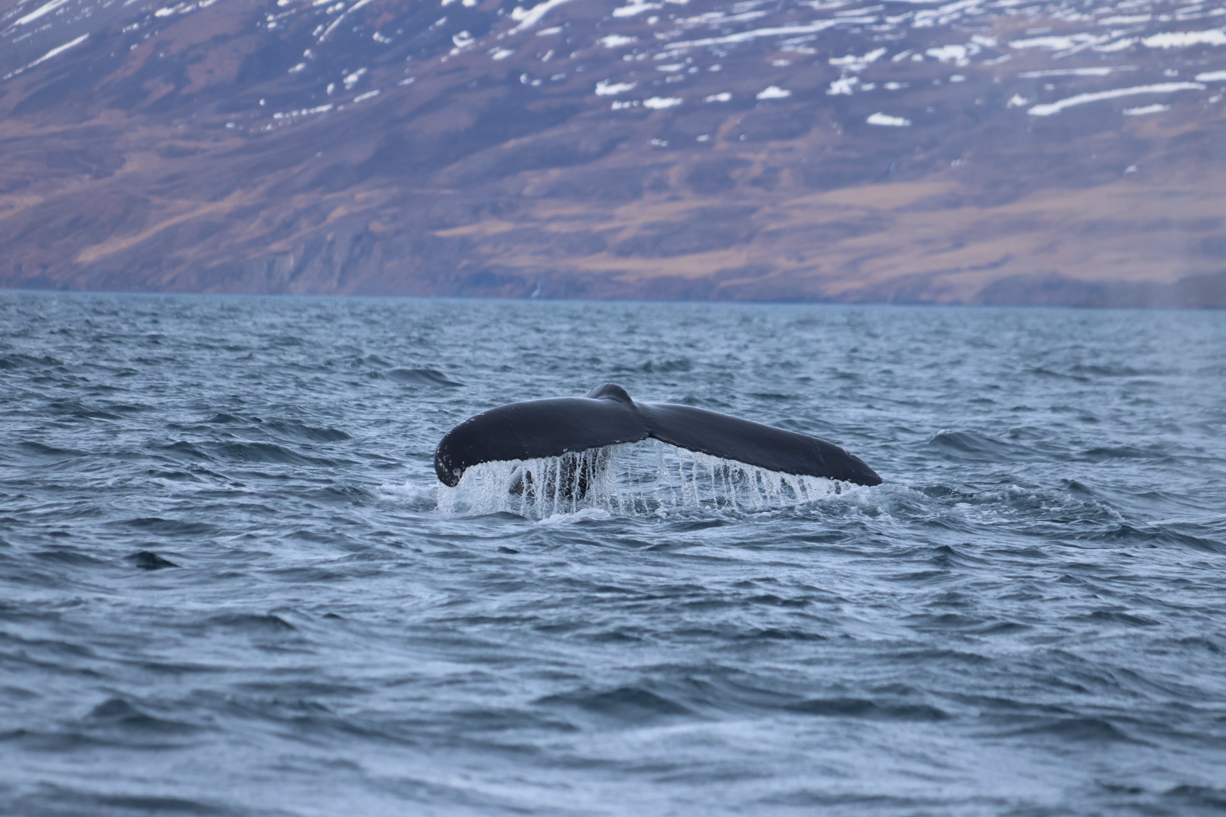 Friday, 27 October 2023