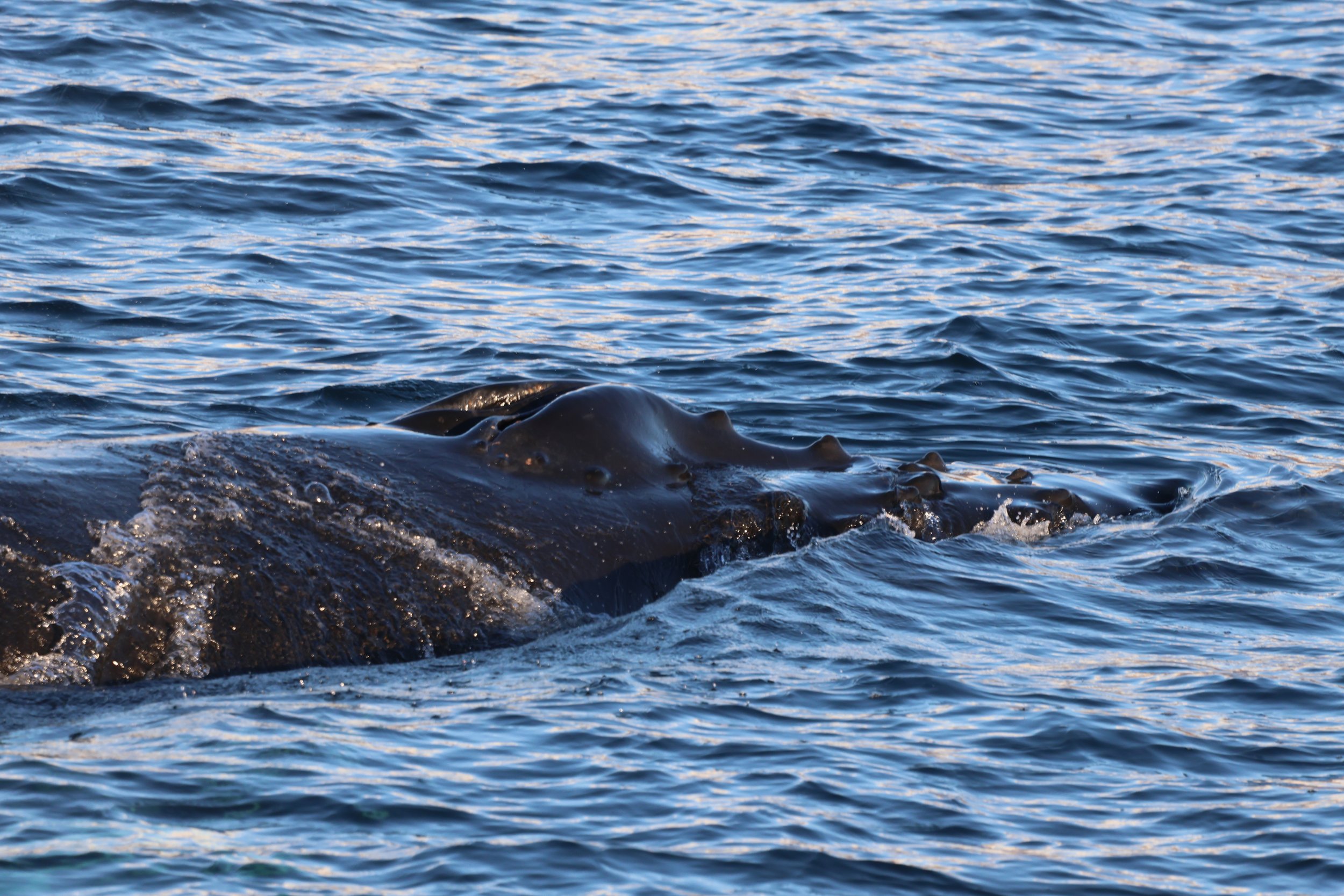 Tuesday, 31 October 2023