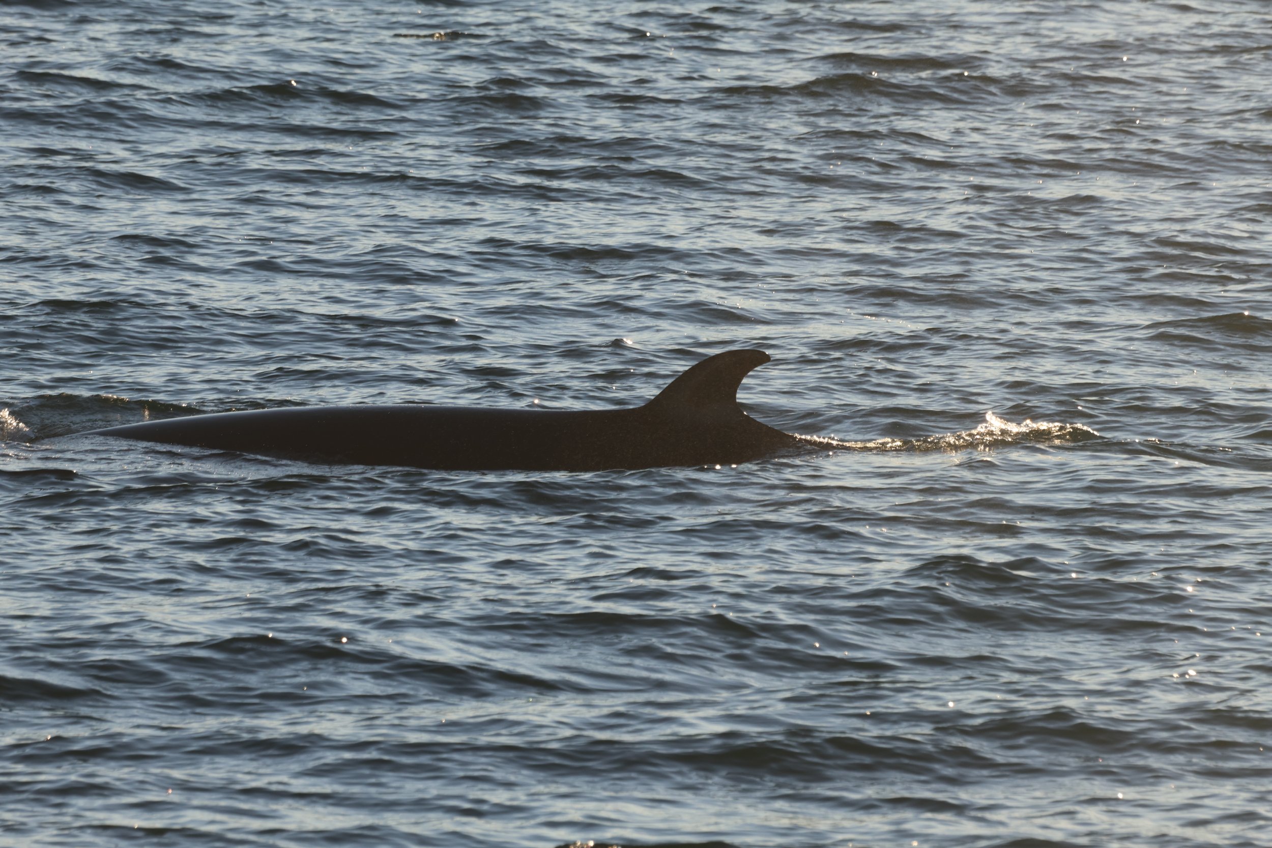 Tuesday, 31 October 2023