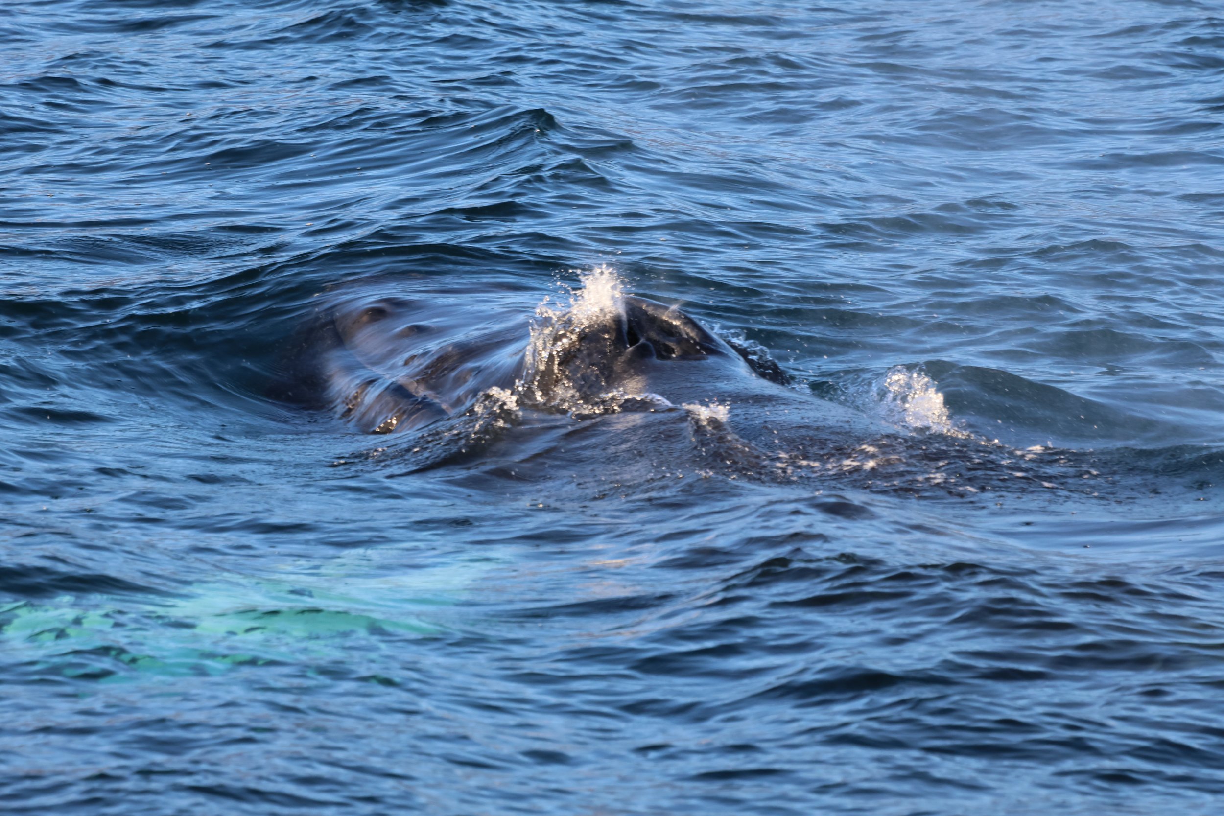 Tuesday, 31 October 2023