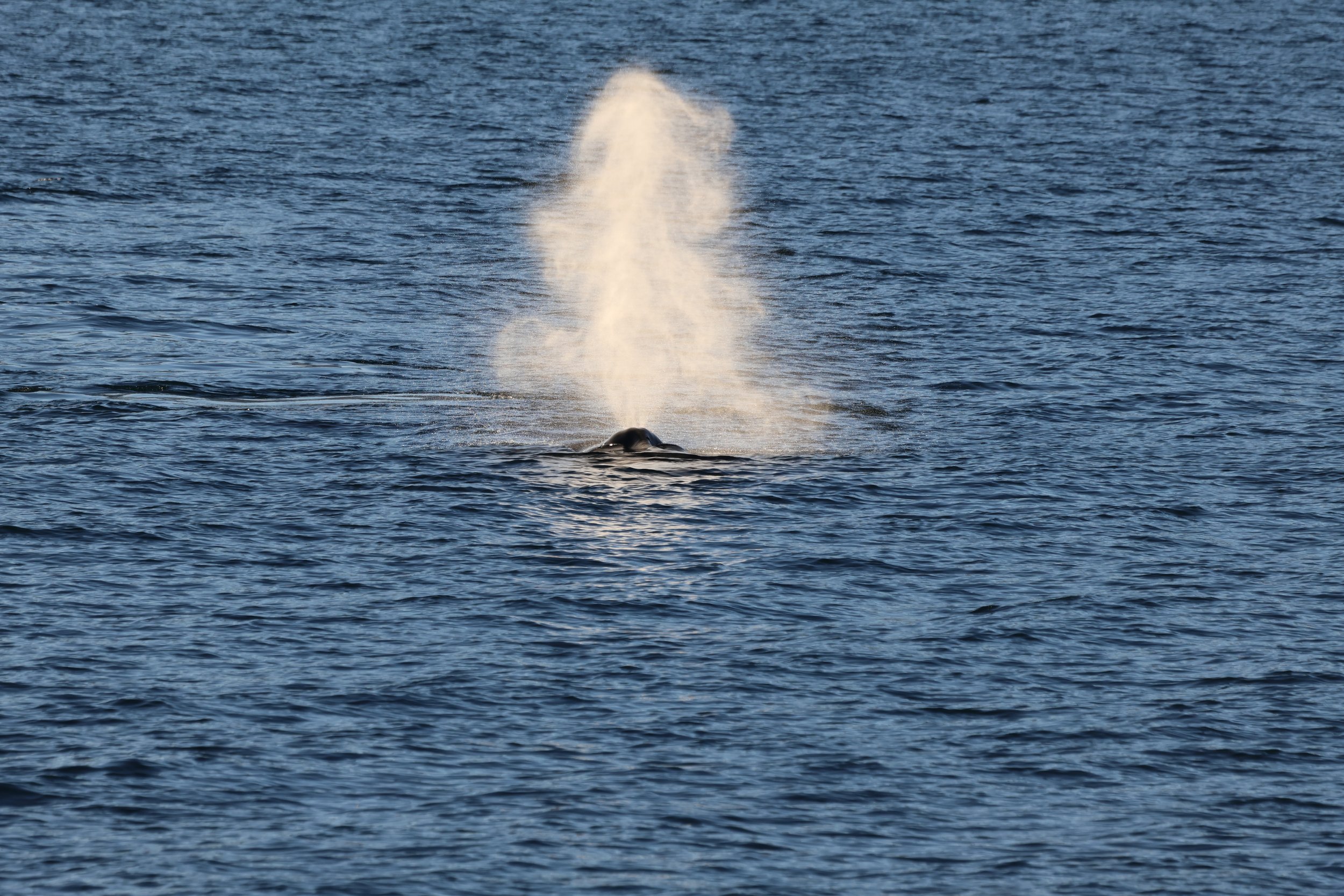 Tuesday, 31 October 2023