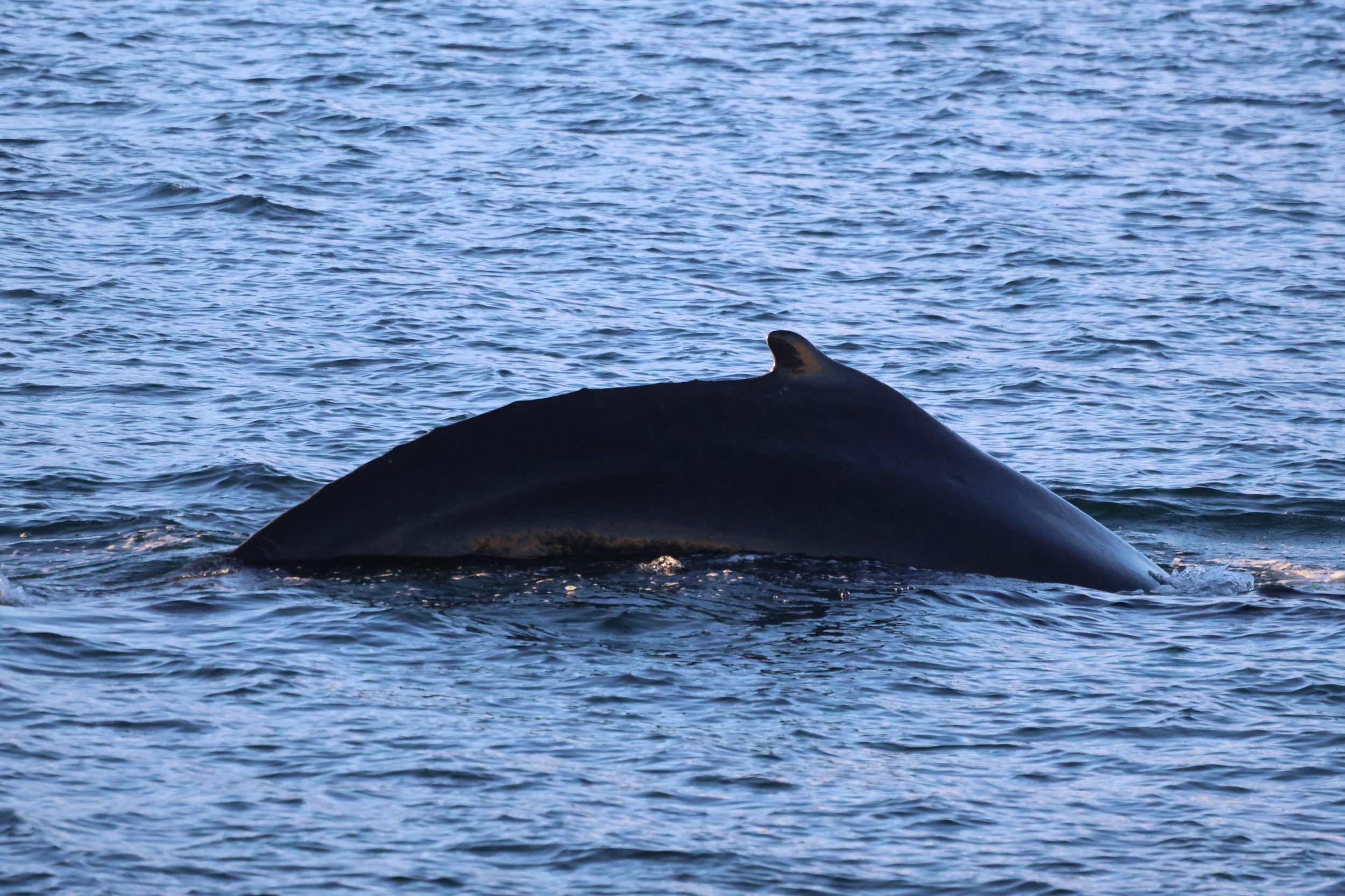 Tuesday, 7 November 2023