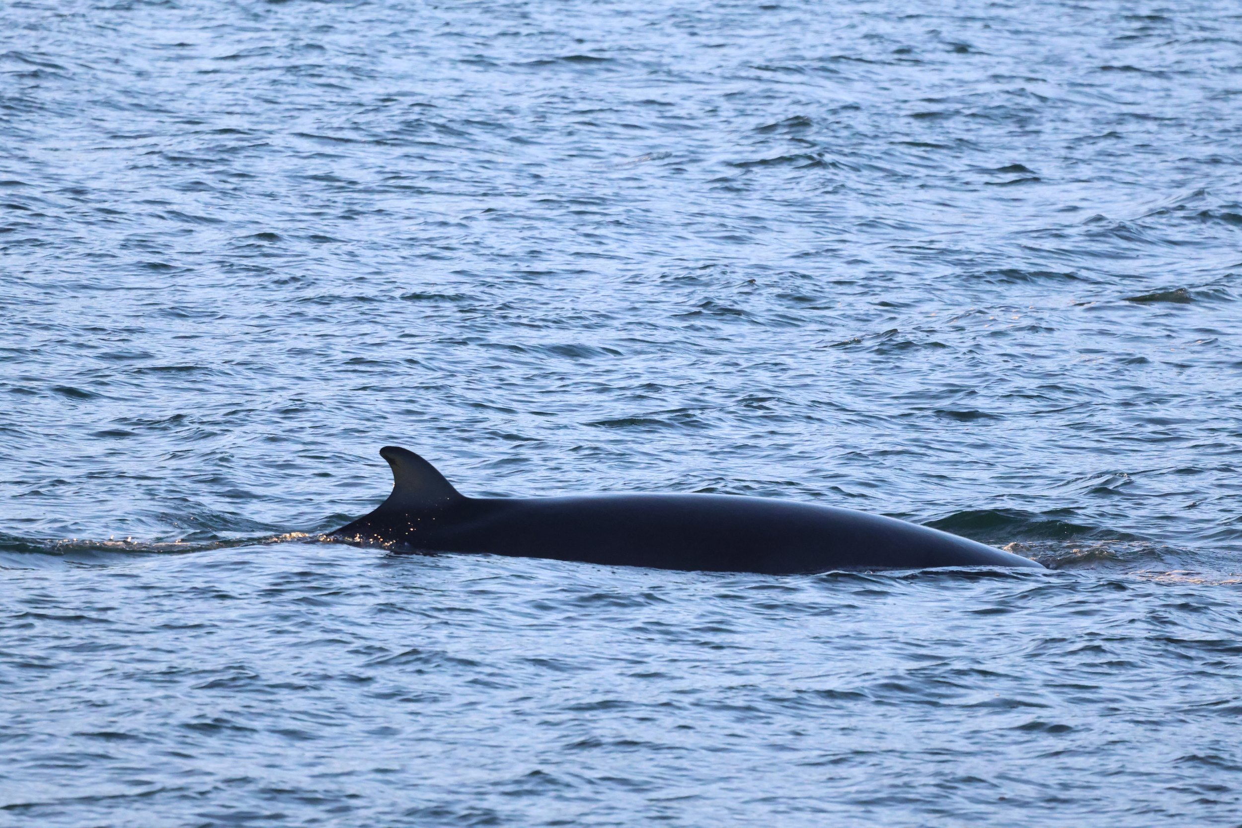 Tuesday, 7 November 2023