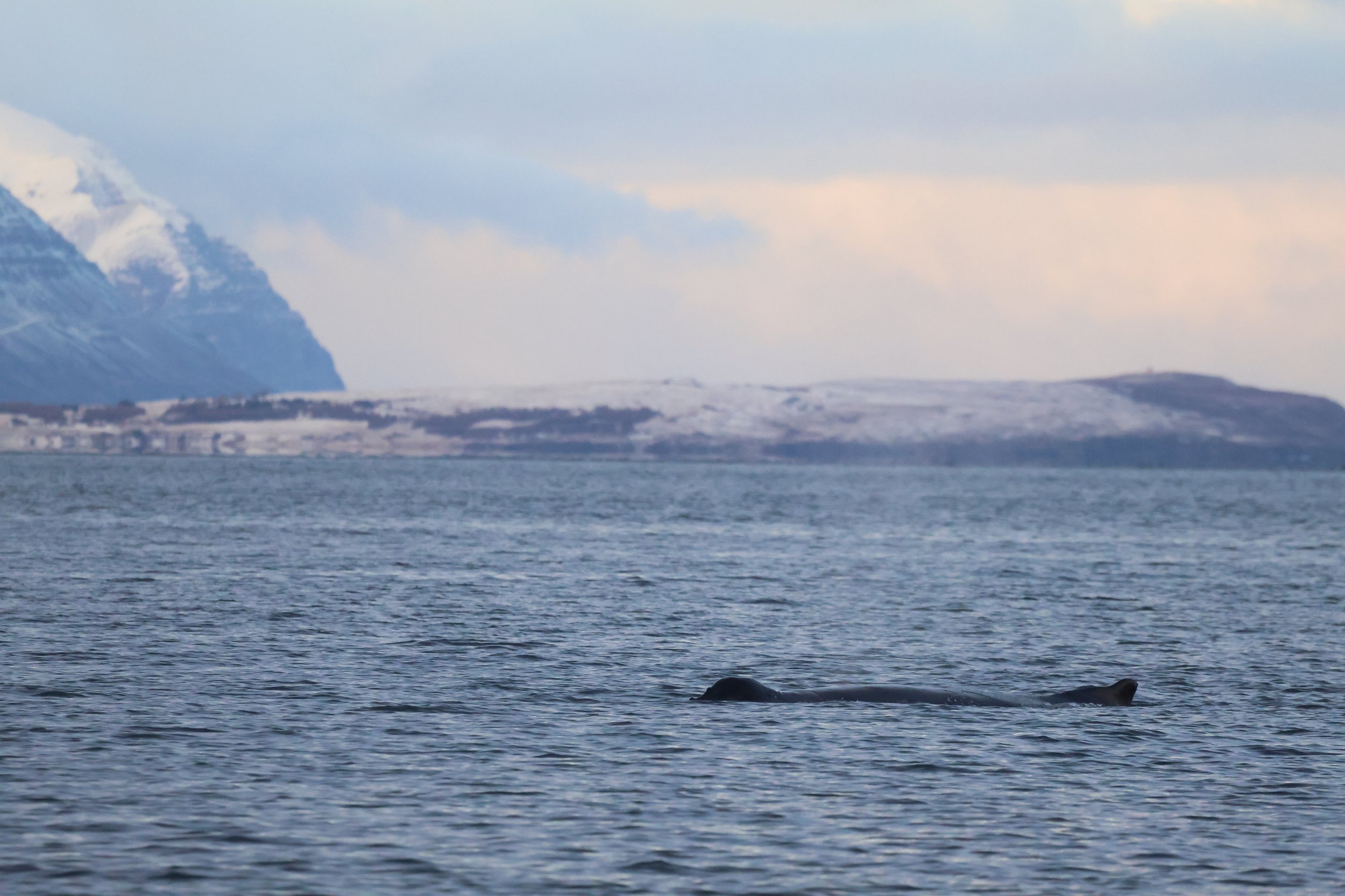 Wednesday, 8 November 2023