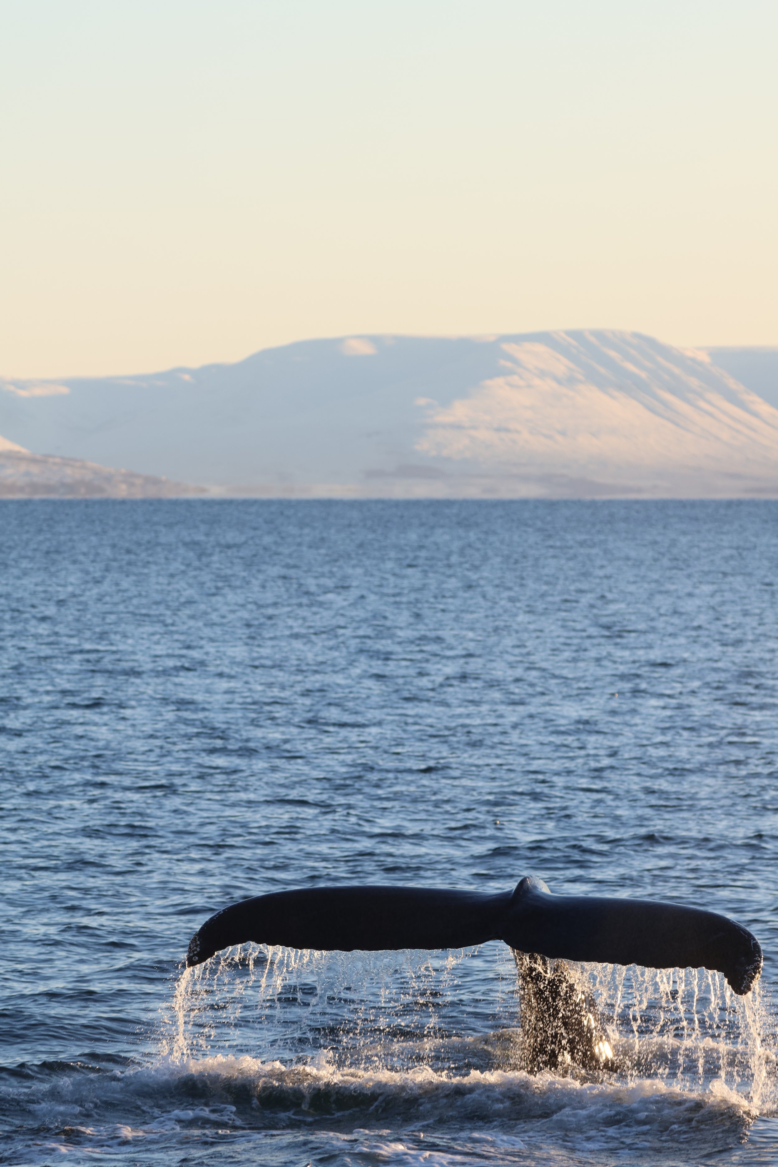 Friday, 10 November 2023