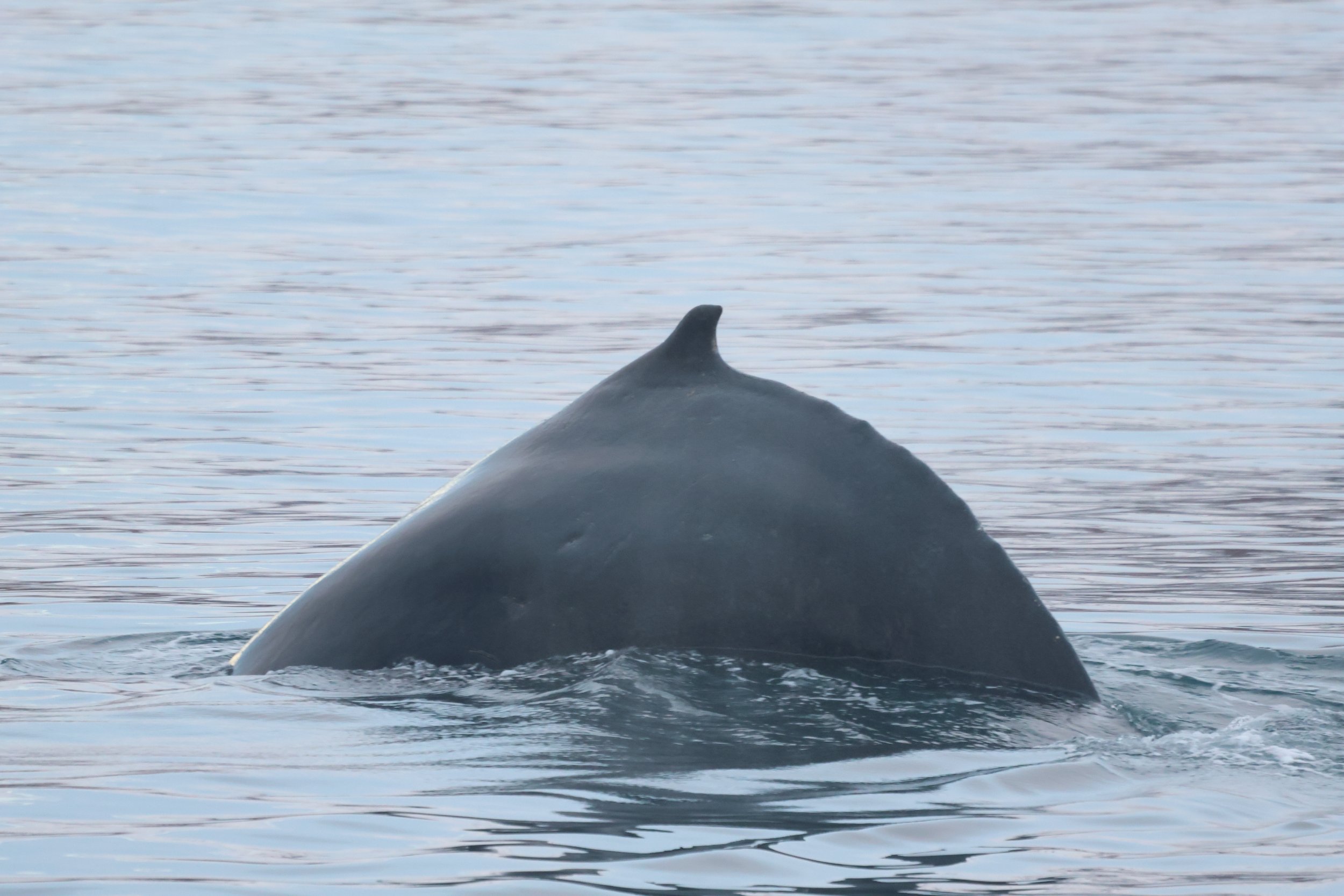 Wednesday, 29 November 2023