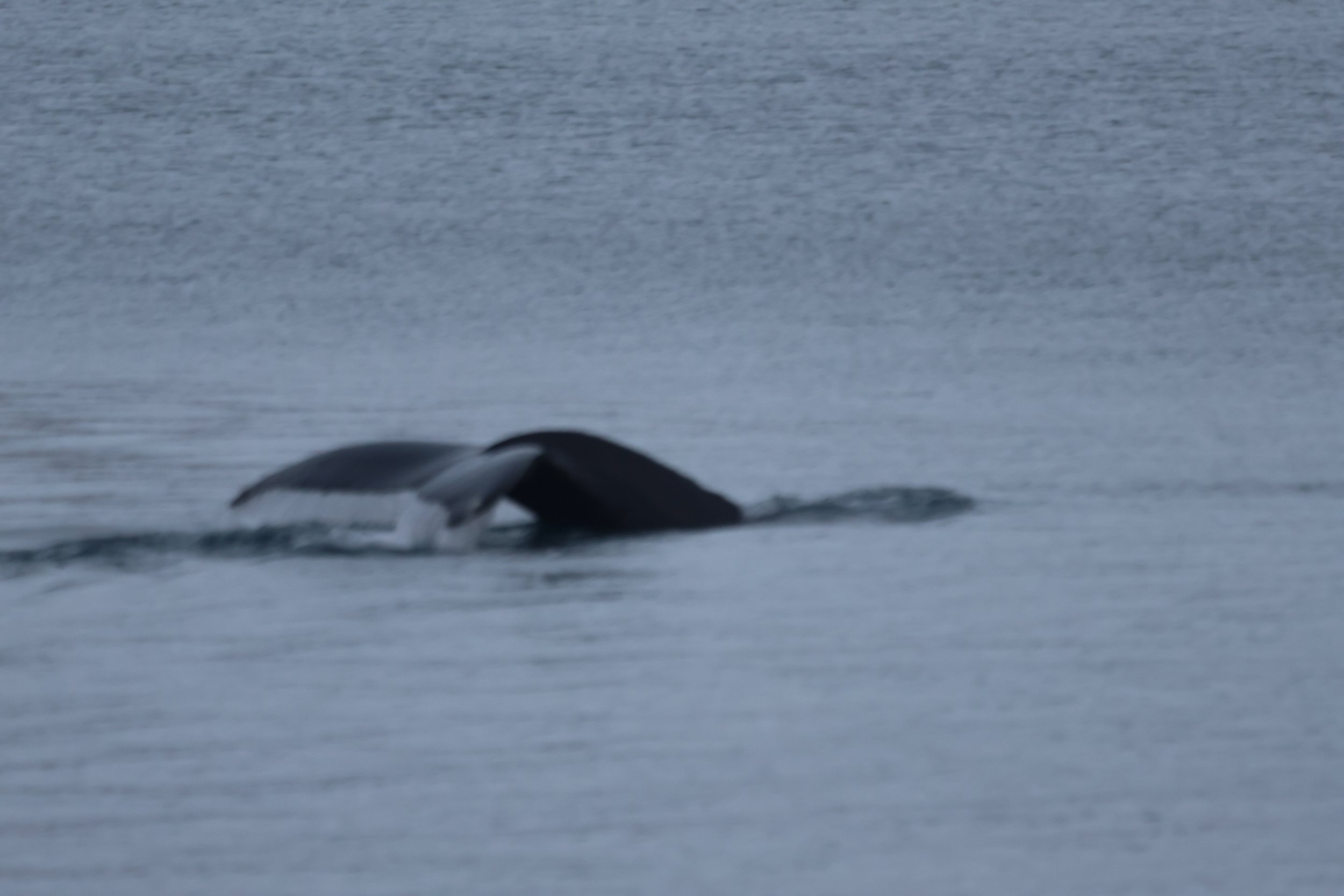 Wednesday, 29 November 2023