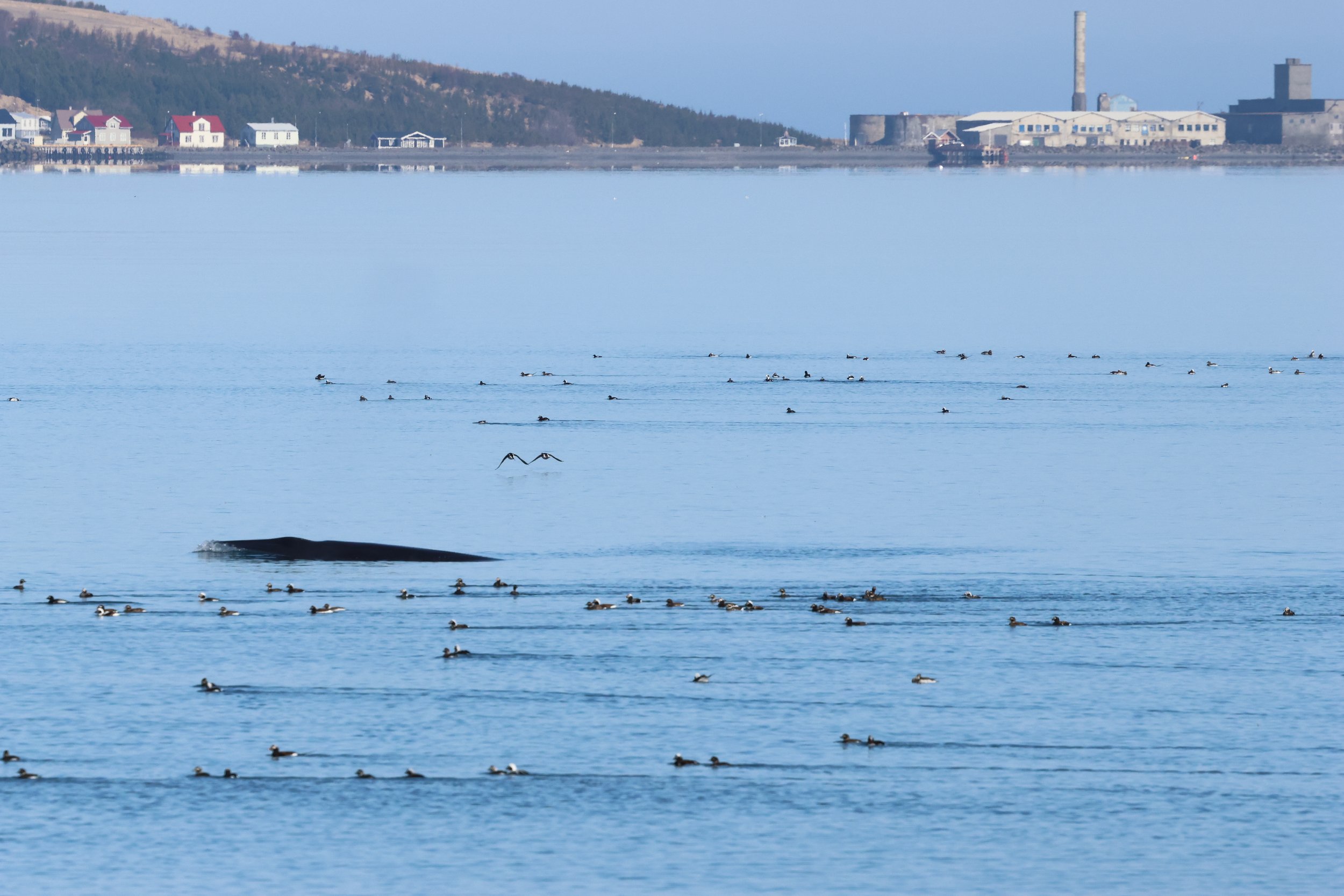 Wednesday, 3 May 2023
