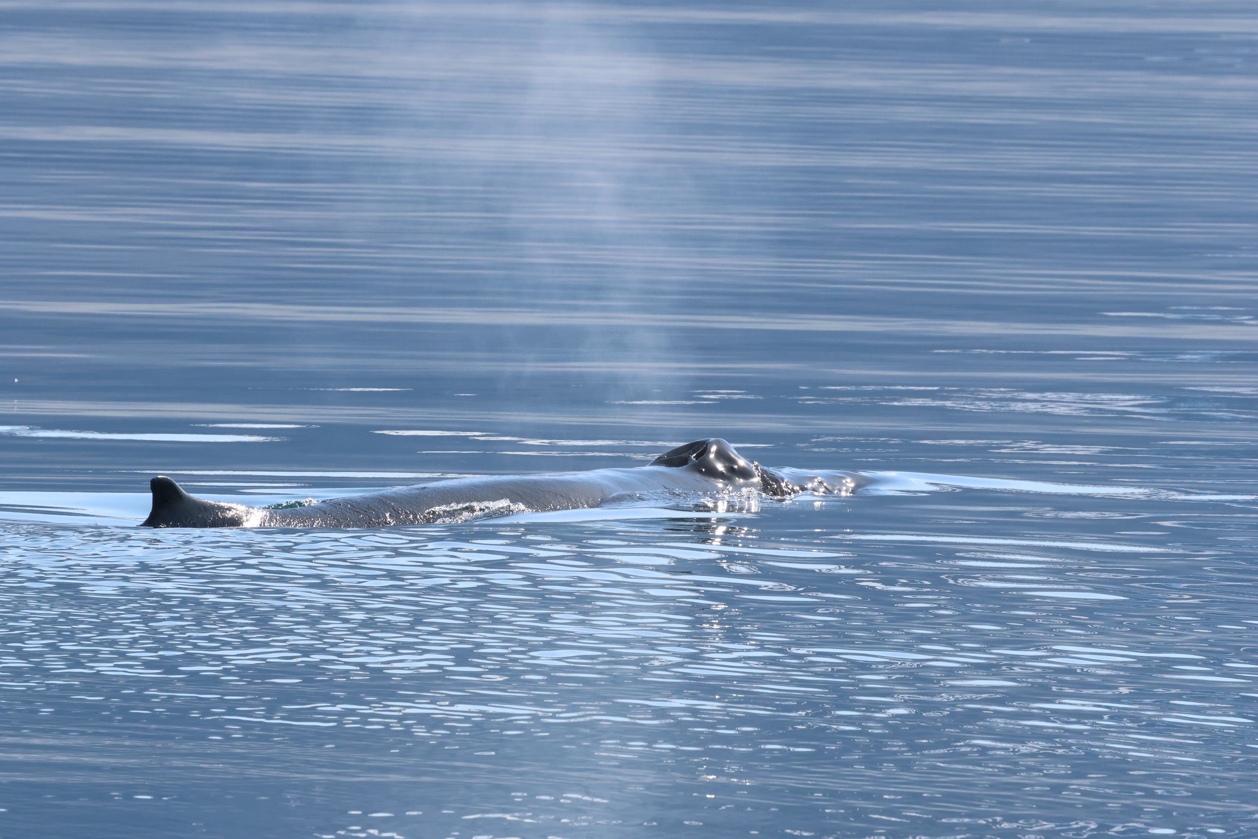 Wednesday, 3 May 2023