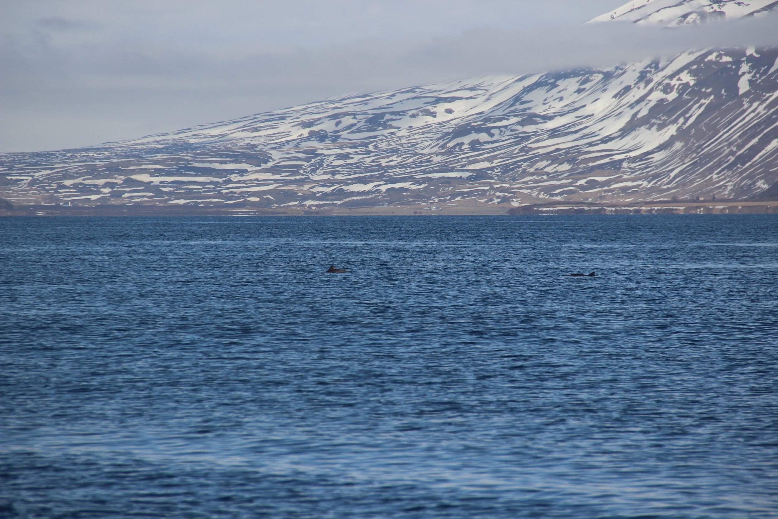 Thursday, 6 April 2023