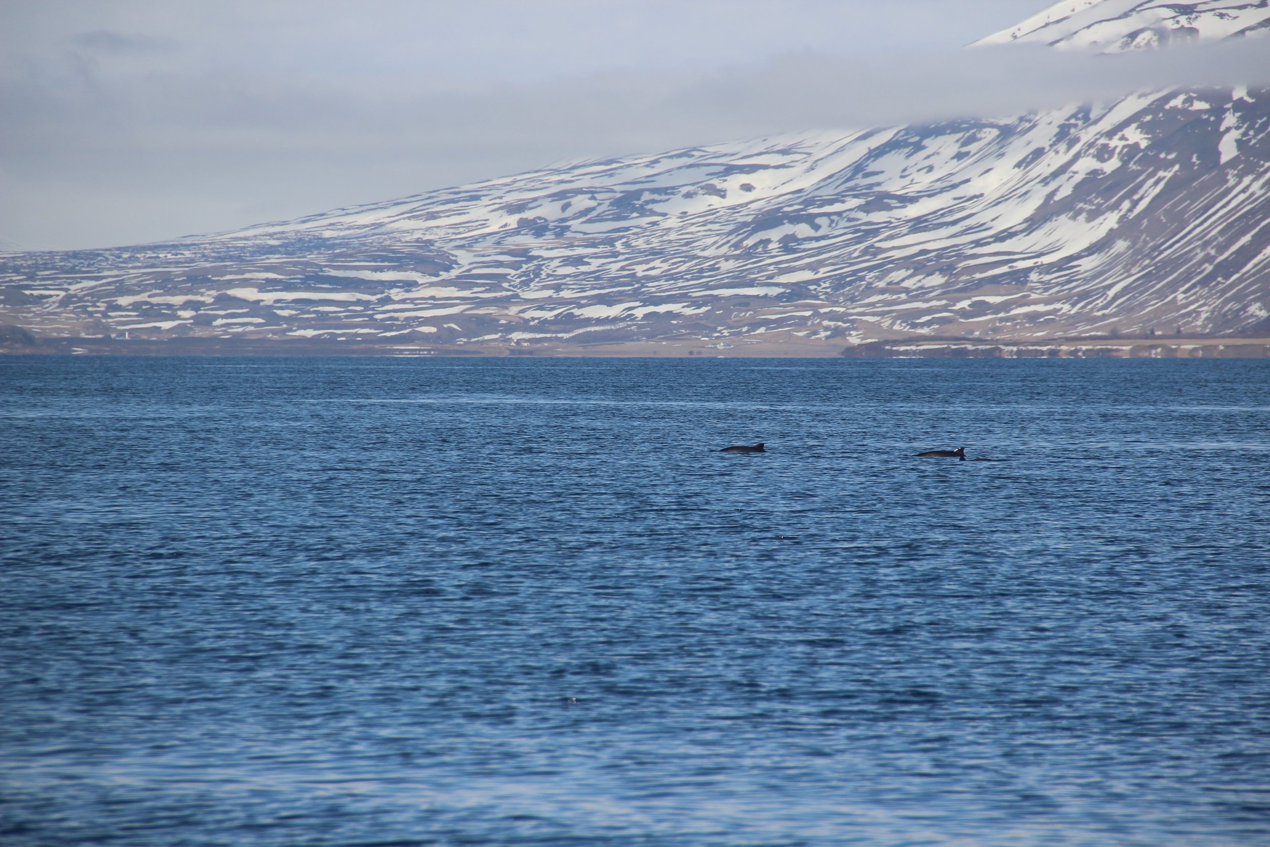 Thursday, 6 April 2023