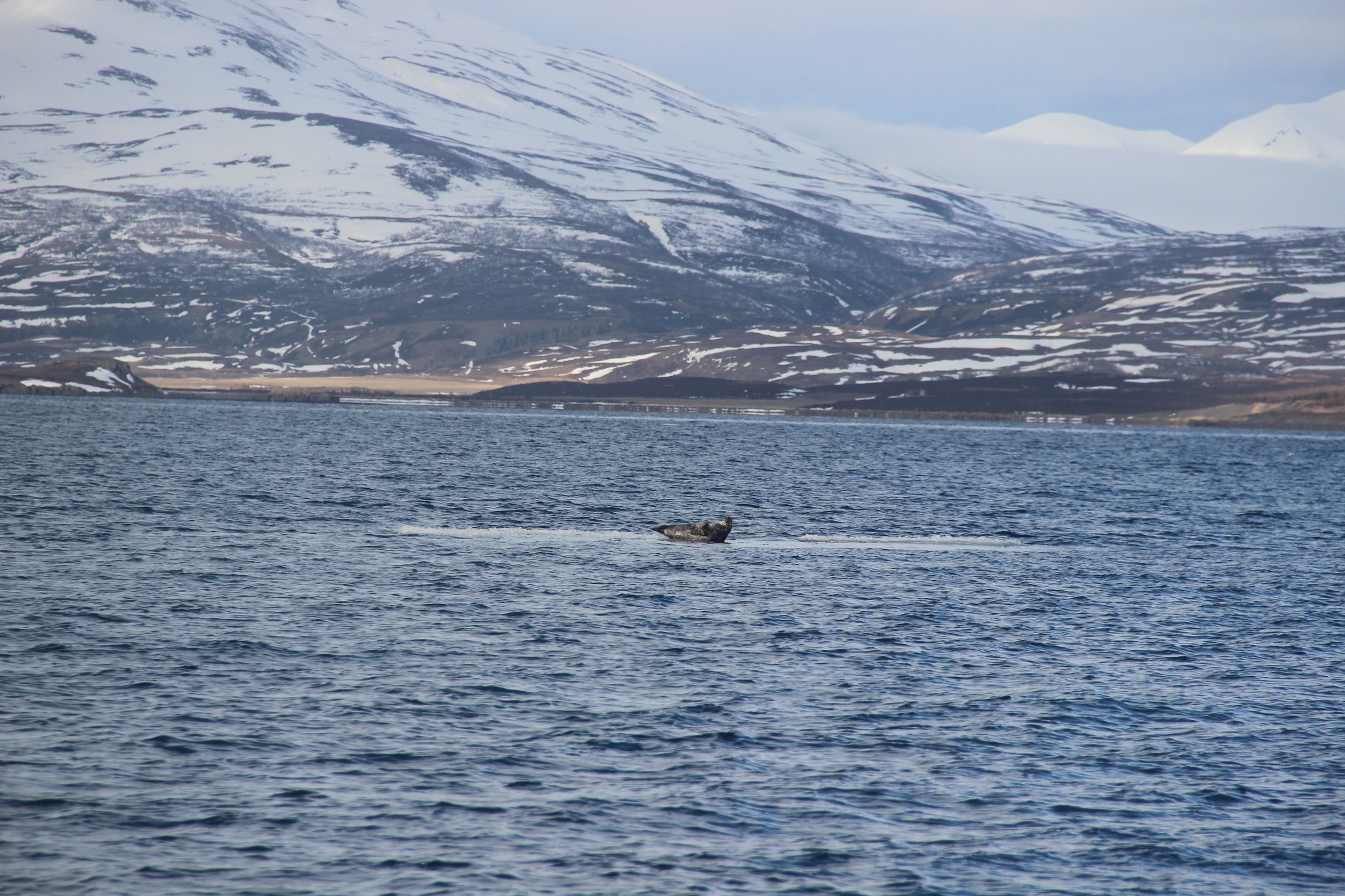 Thursday, 6 April 2023