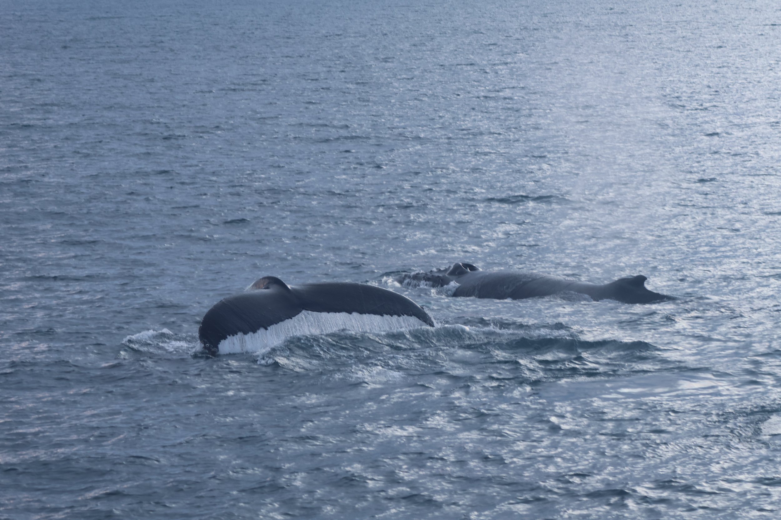 Tuesday, 2 January 2024