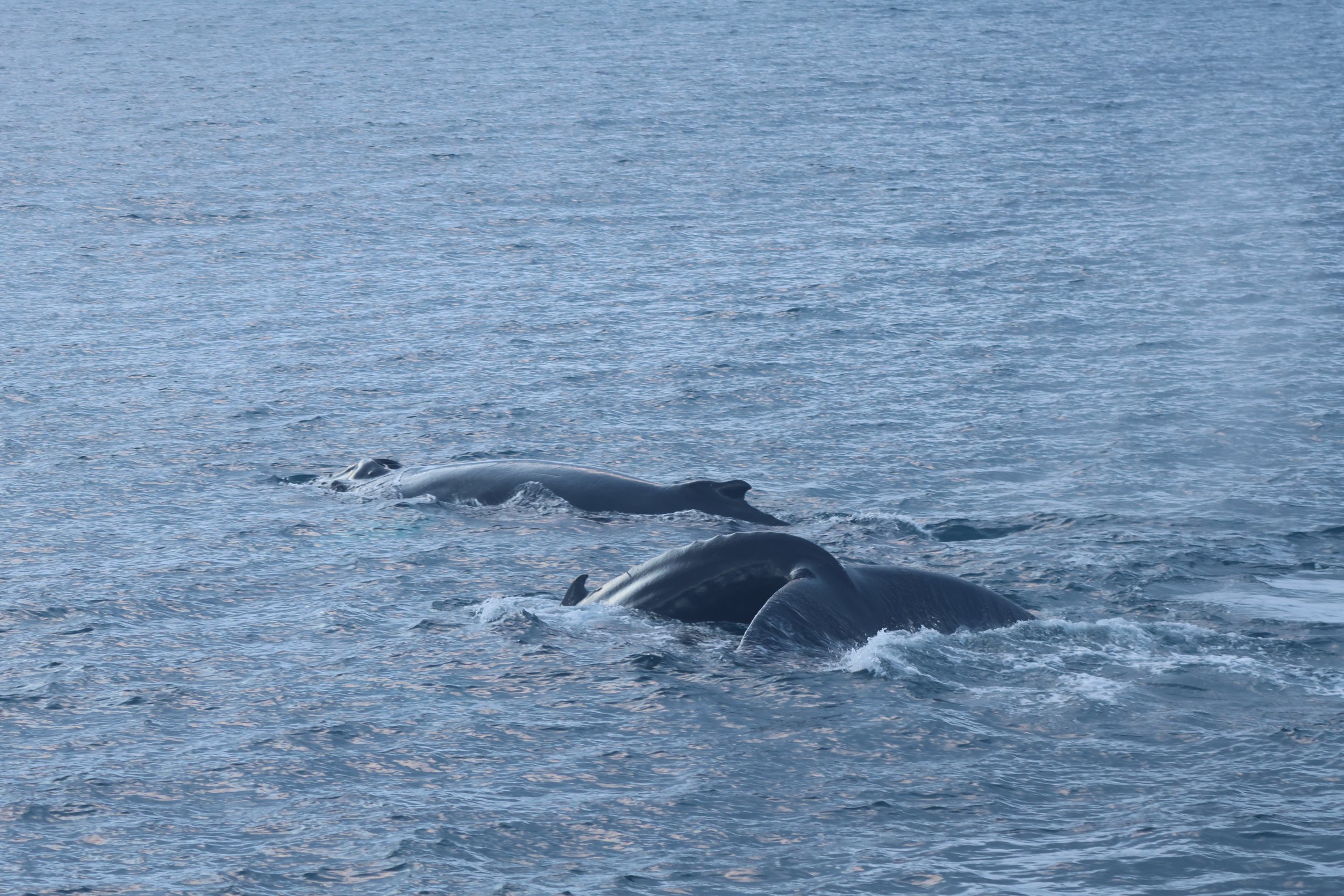 Tuesday, 2 January 2024