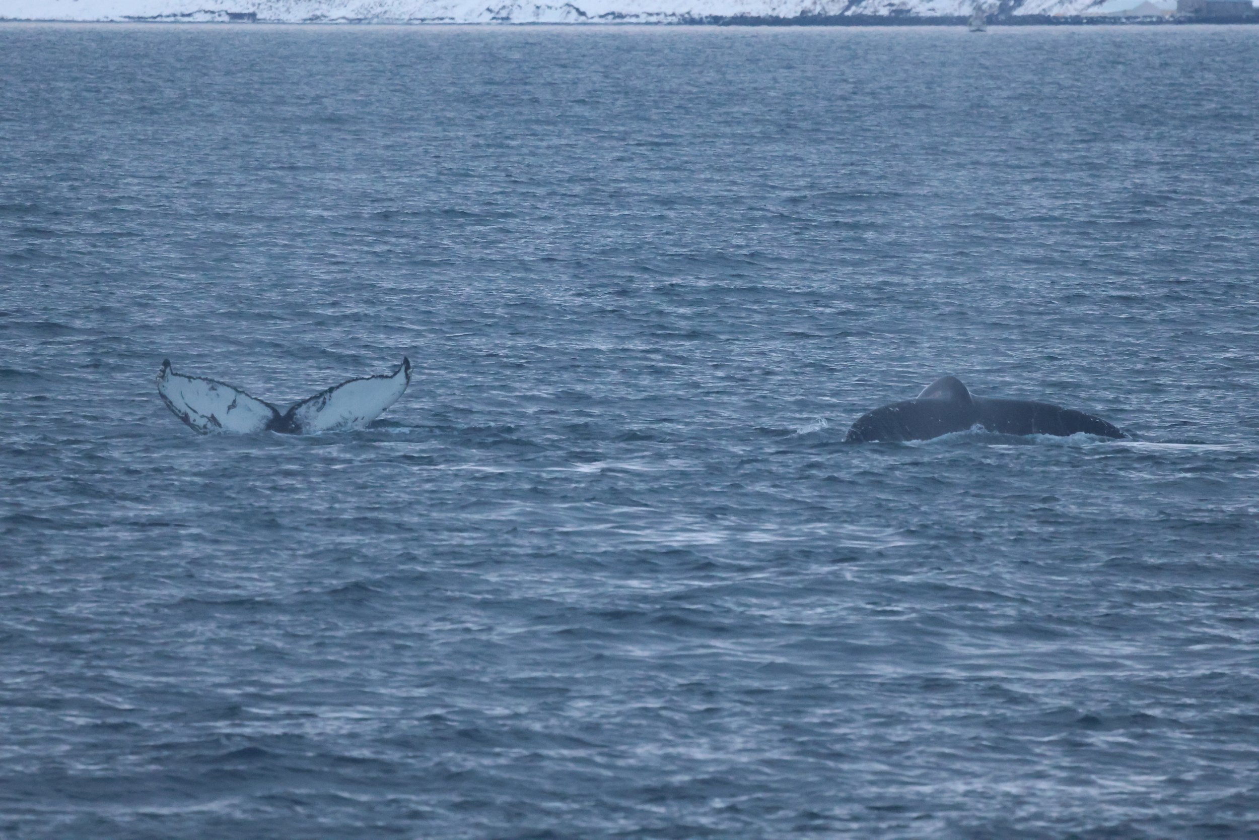 Tuesday, 2 January 2024