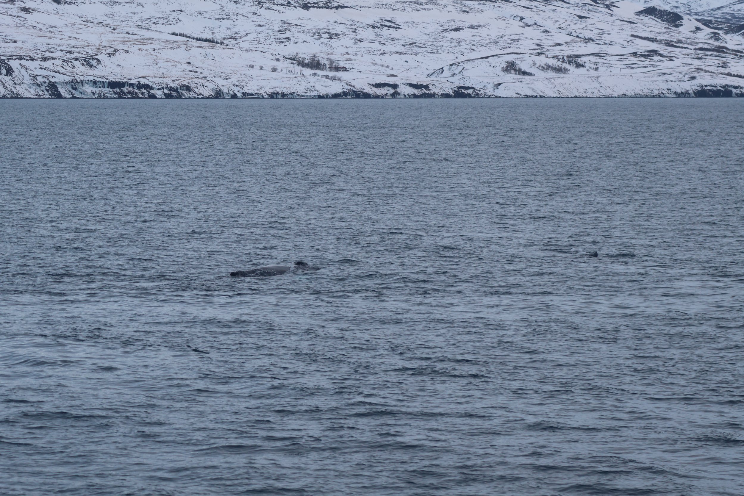 Wednesday, 3 January 2024