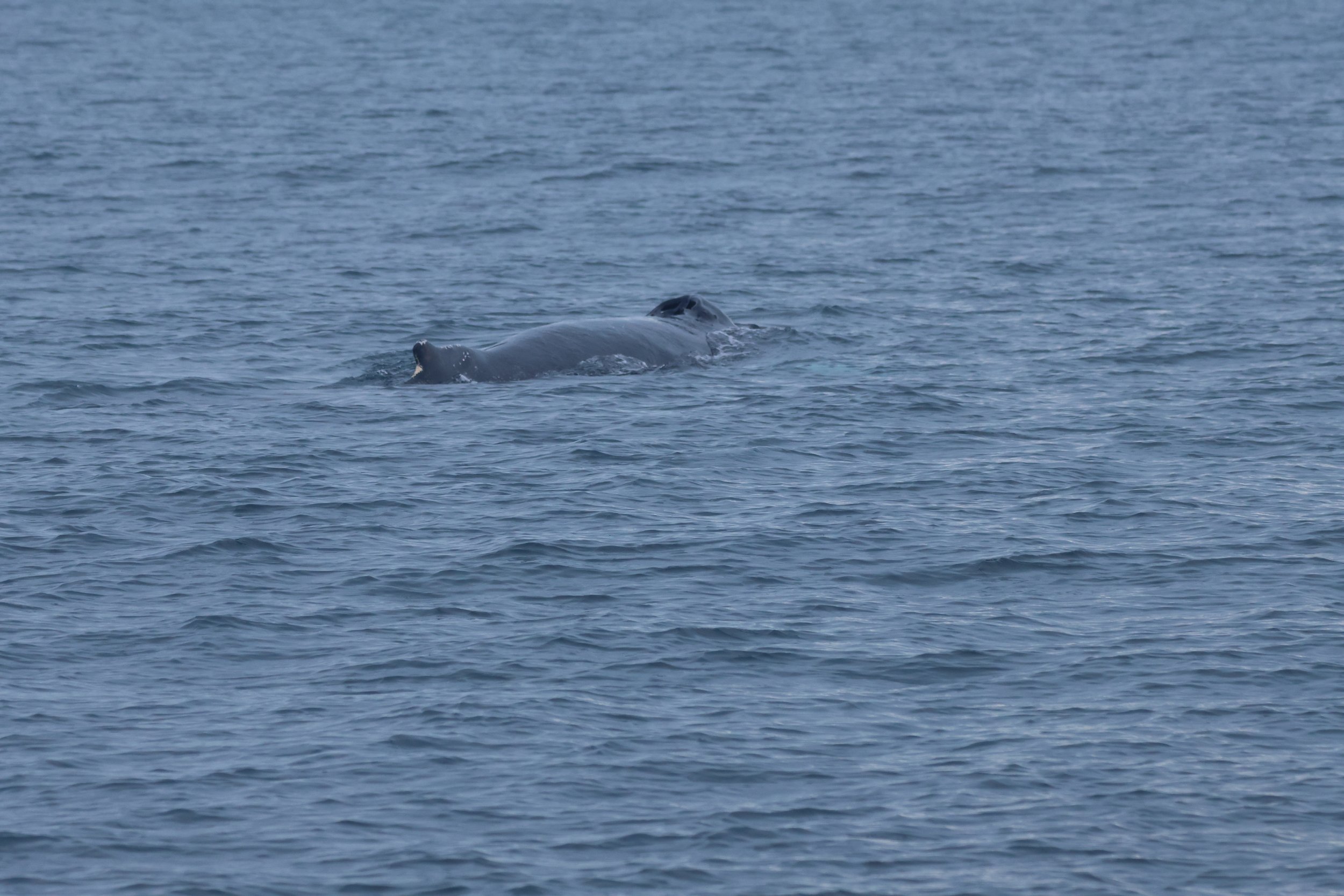Wednesday, 3 January 2024