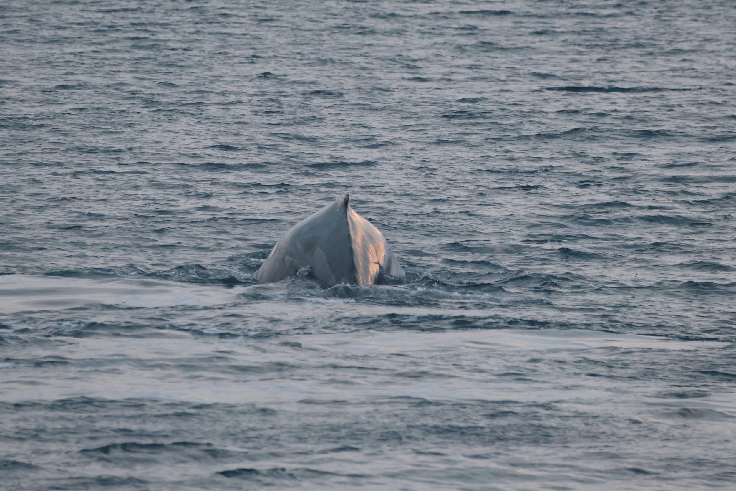 Wednesday, 3 January 2024