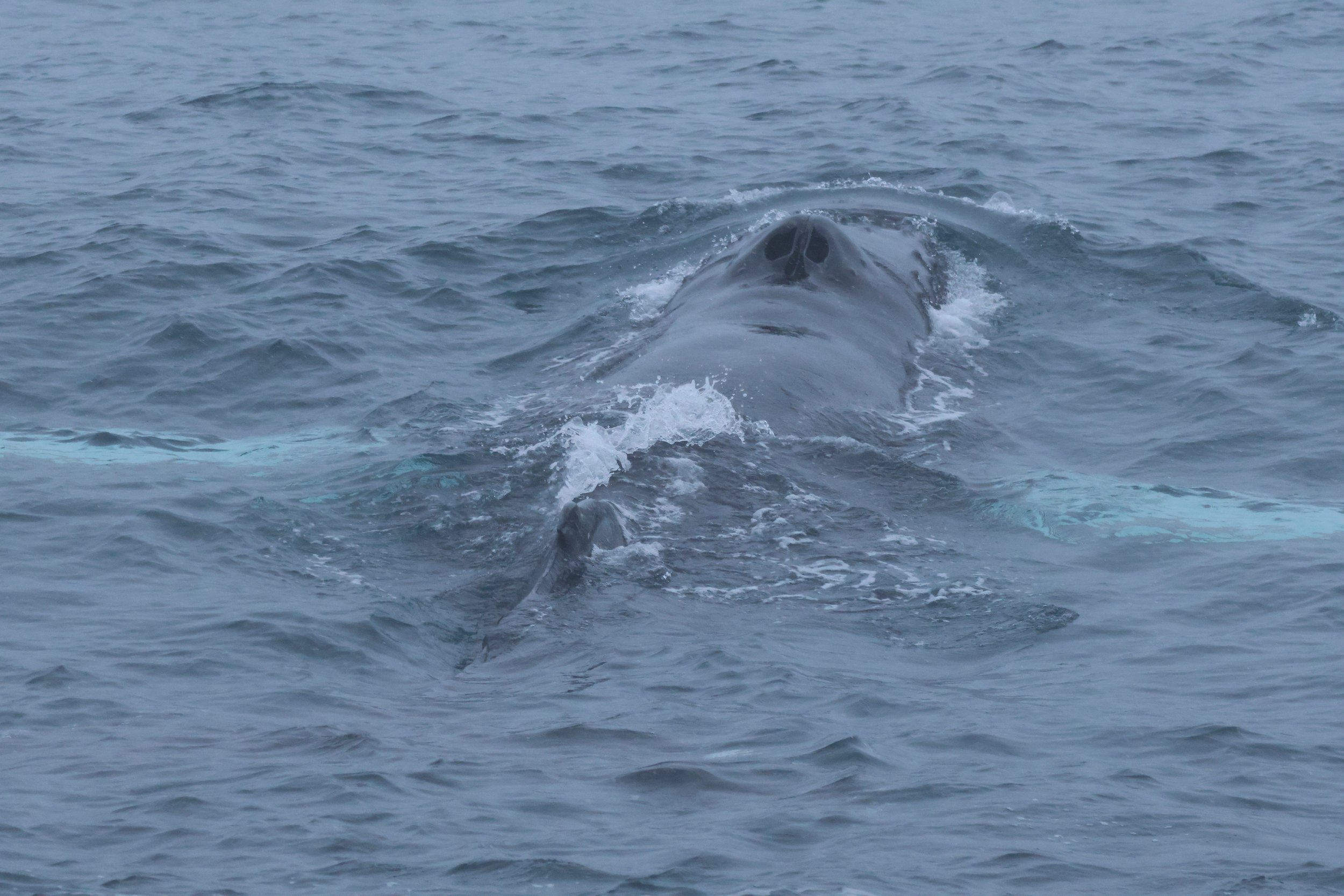 Thursday, 4 January 2024