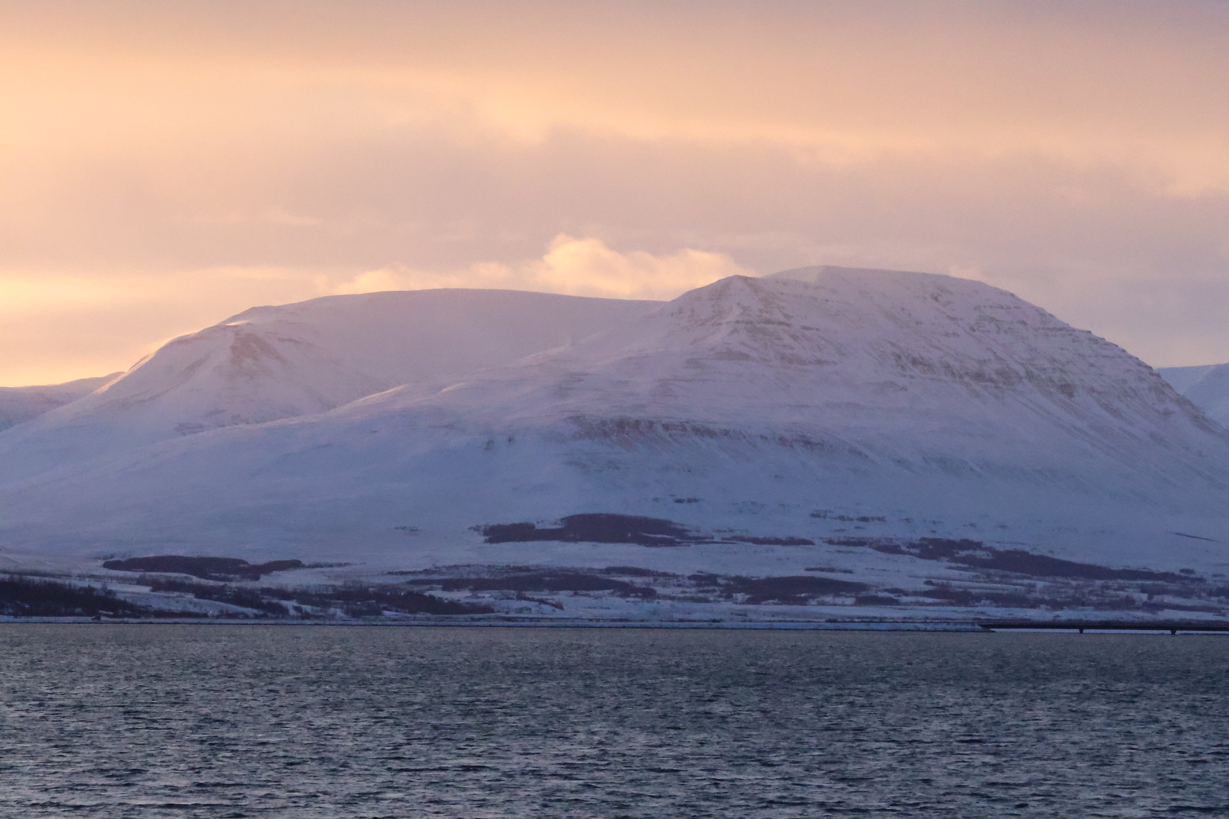 Tuesday, 30 January 2024