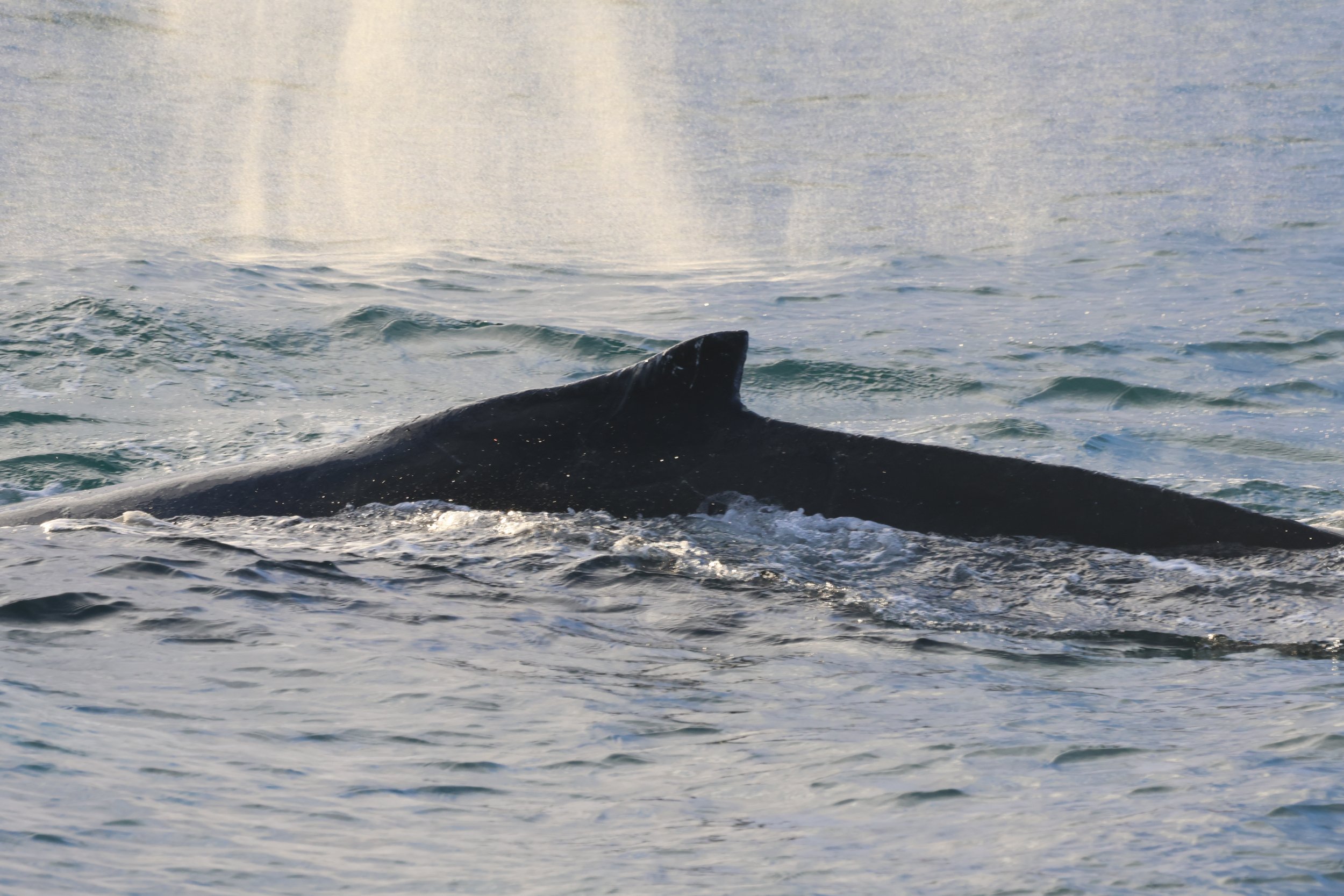 Wednesday, 7 February 2024
