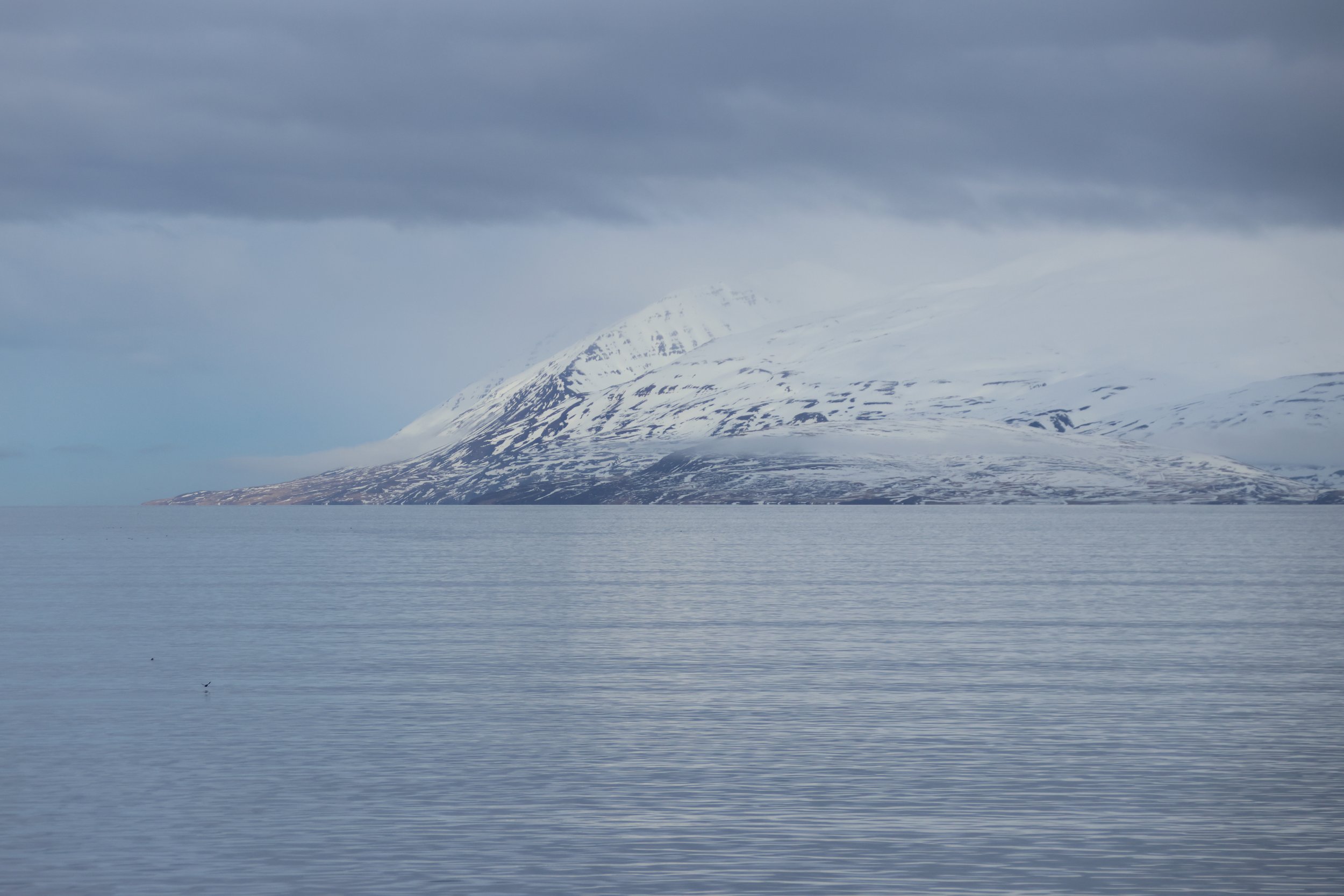 Tuesday, 12 March 2024