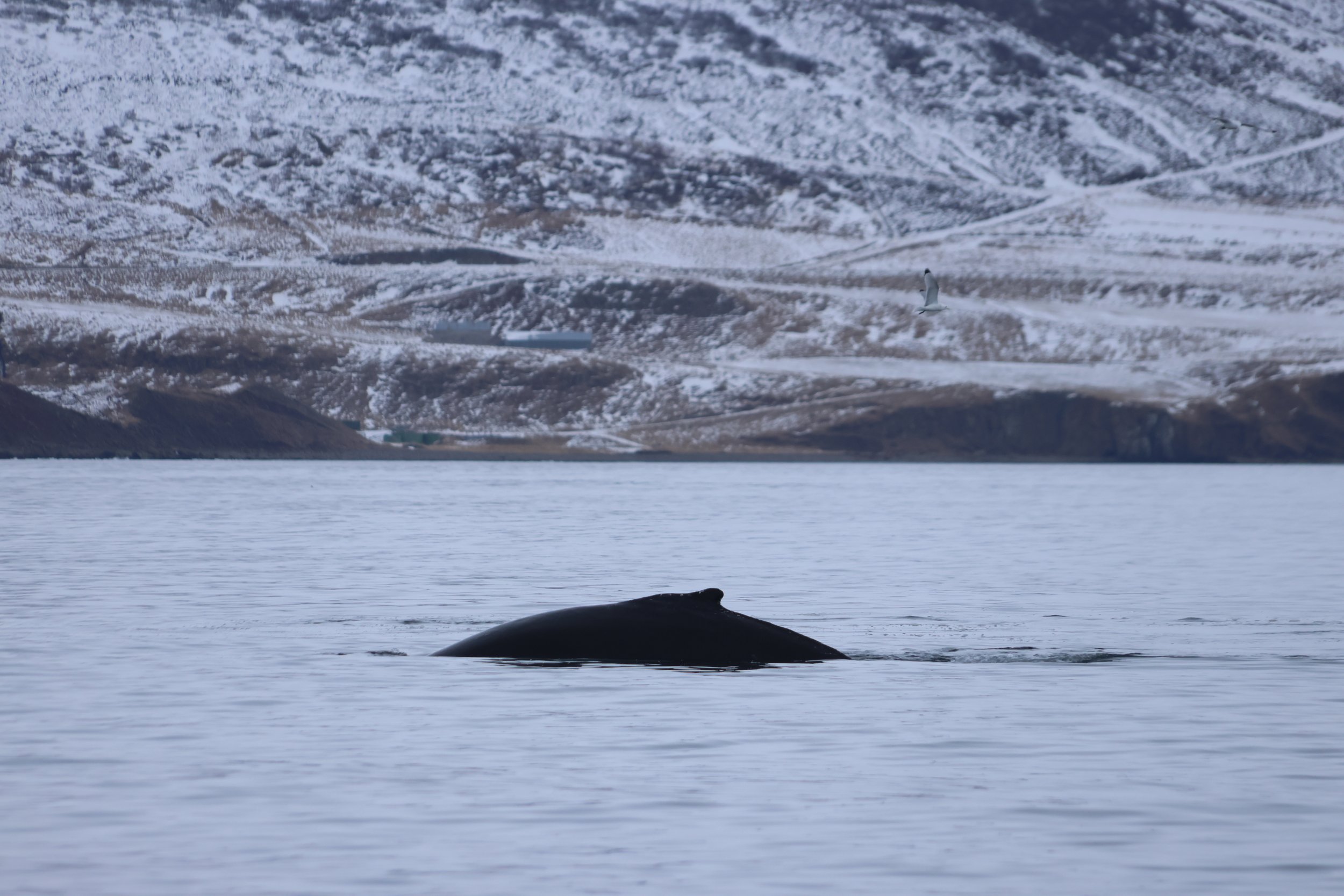 Wednesday, 20 March 2024