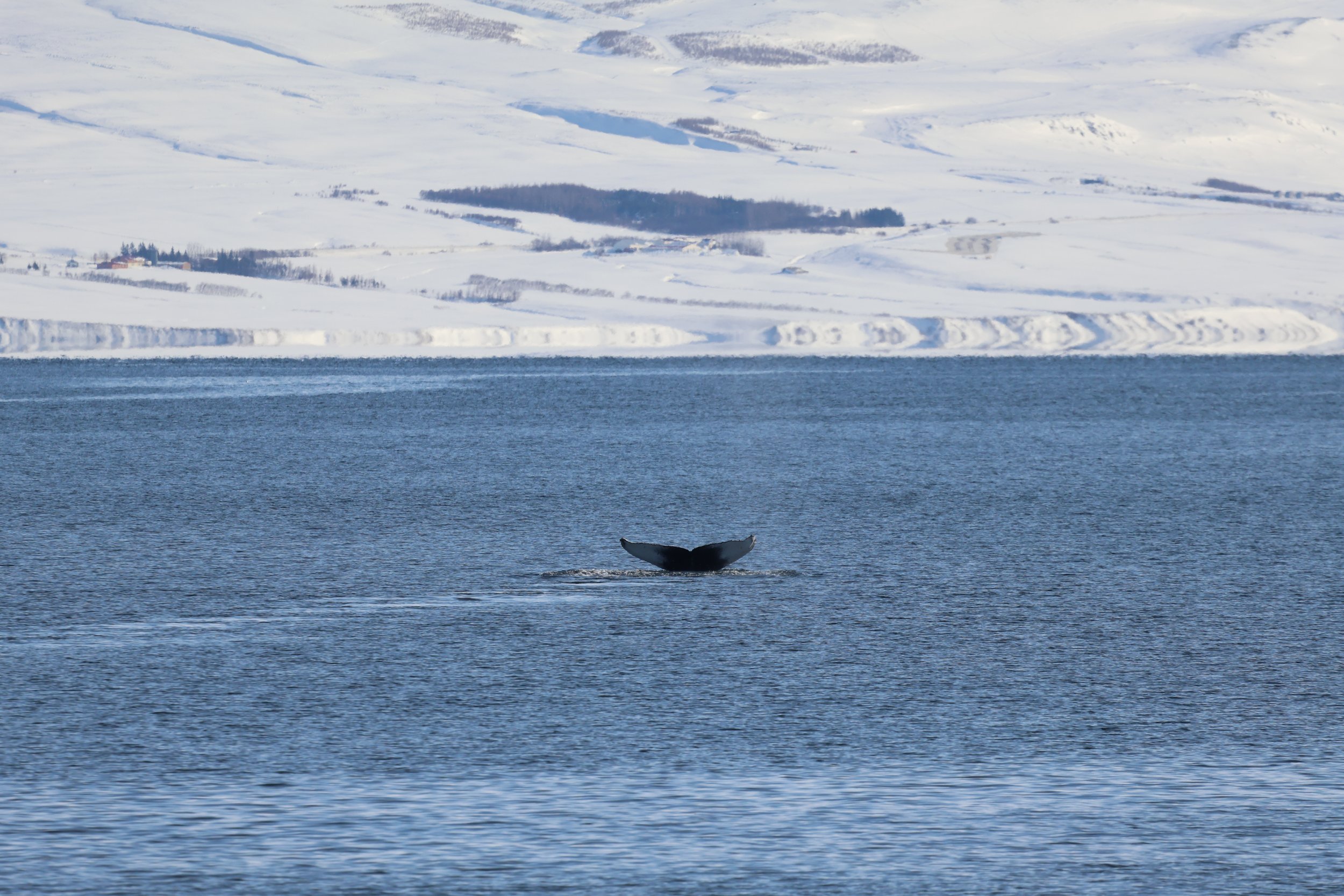 Thursday, 4 April 2024