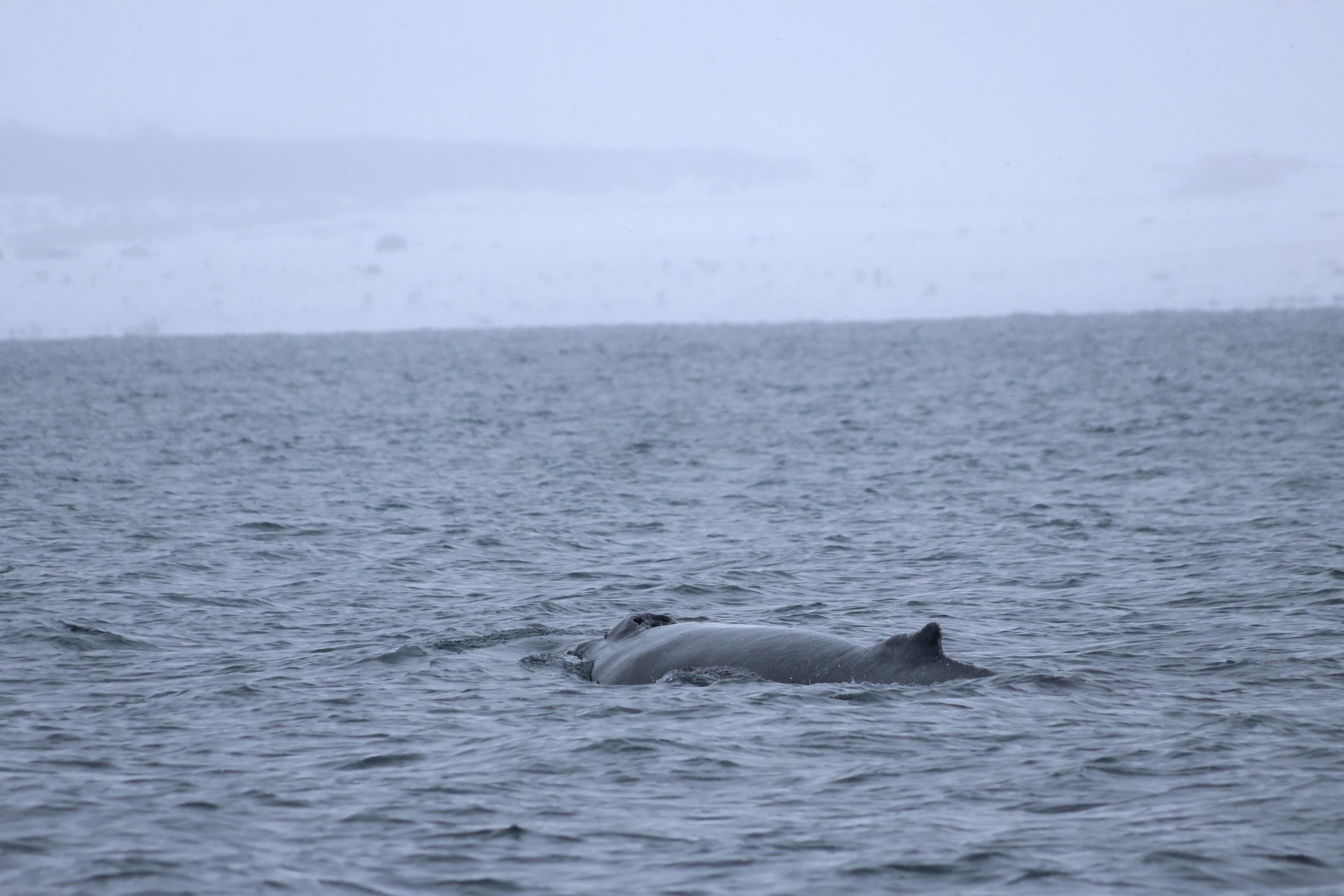 Saturday, 6 April 2024
