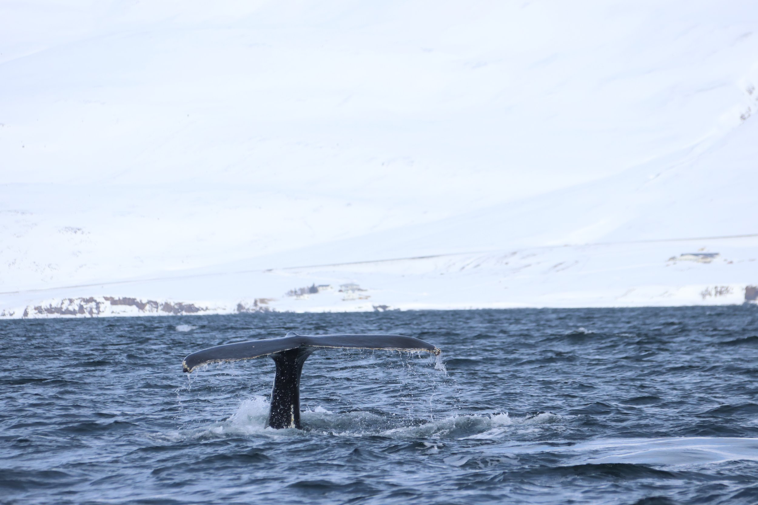 Tuesday, 9 April 2024