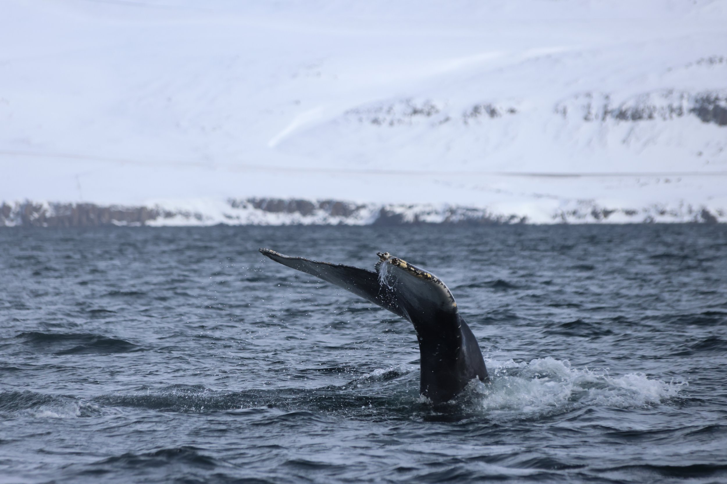Tuesday, 9 April 2024
