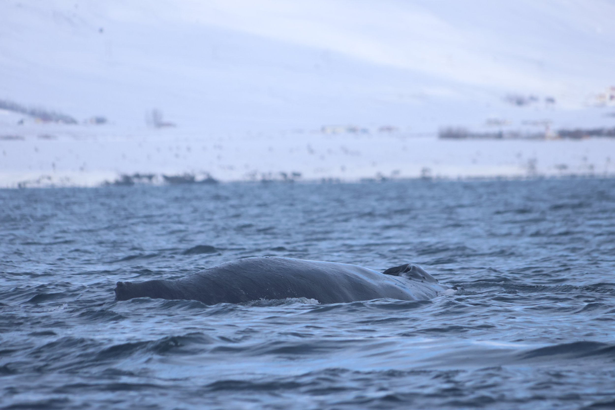 Tuesday, 16 April 2024