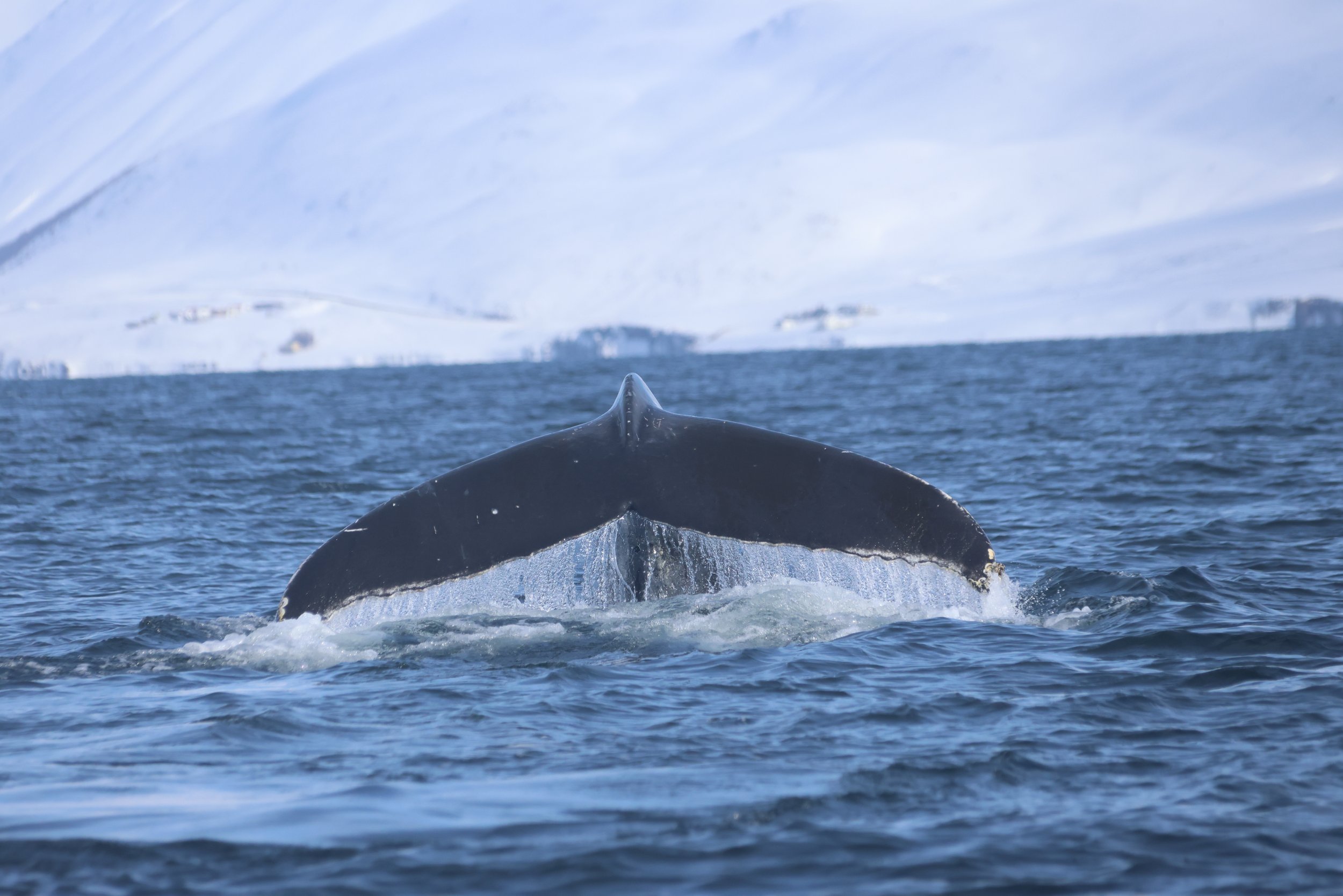 Tuesday, 16 April 2024