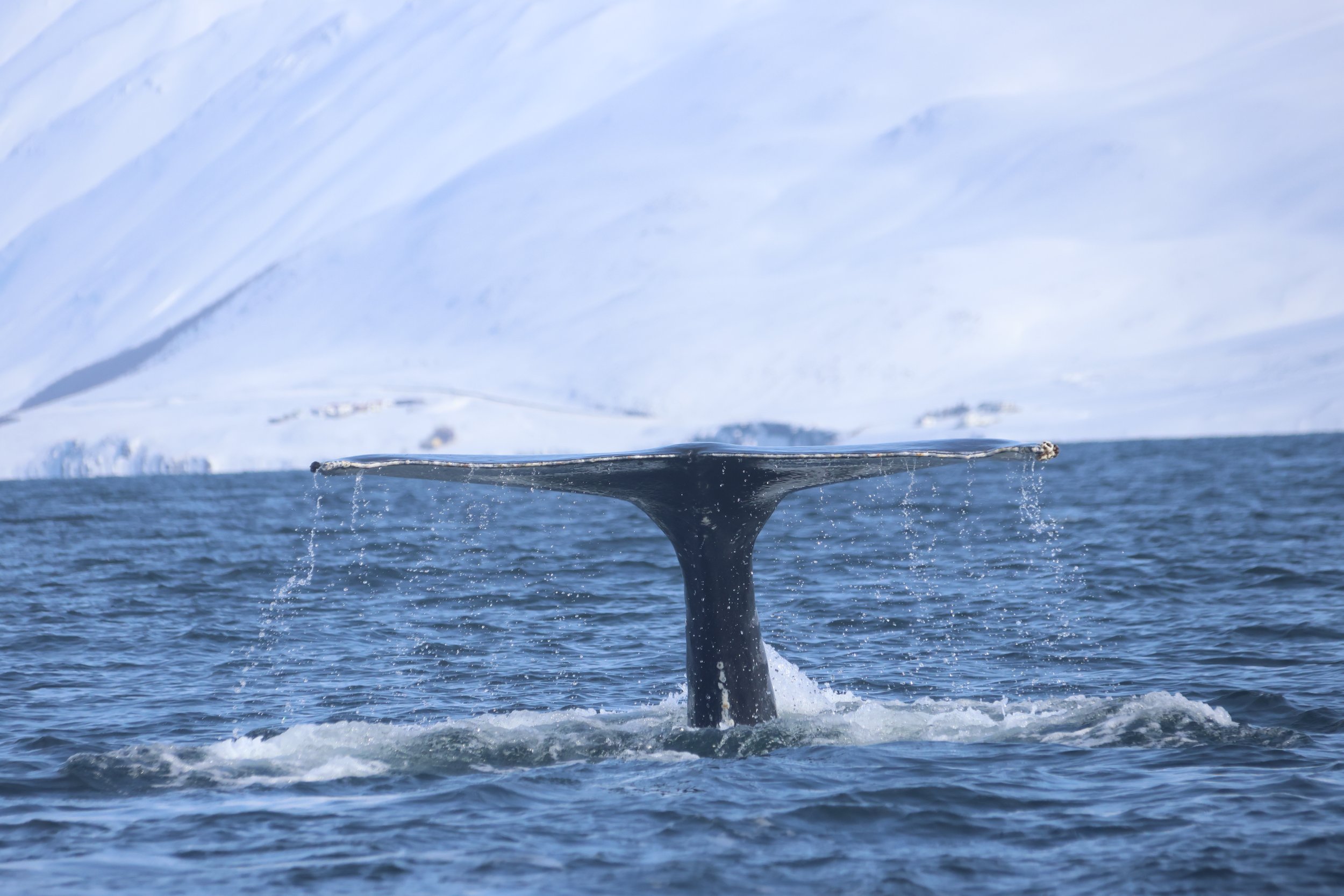 Tuesday, 16 April 2024
