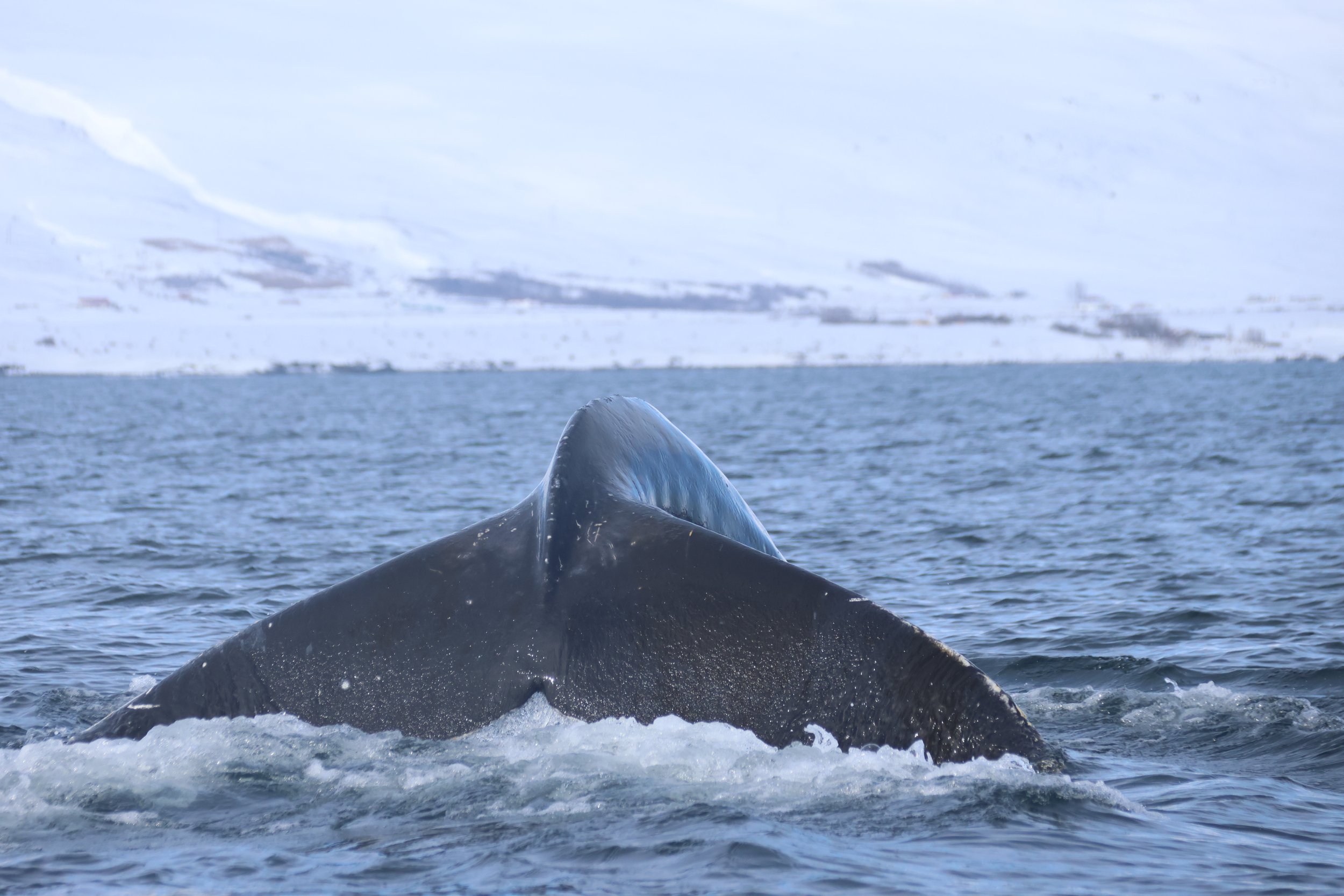 Tuesday, 16 April 2024