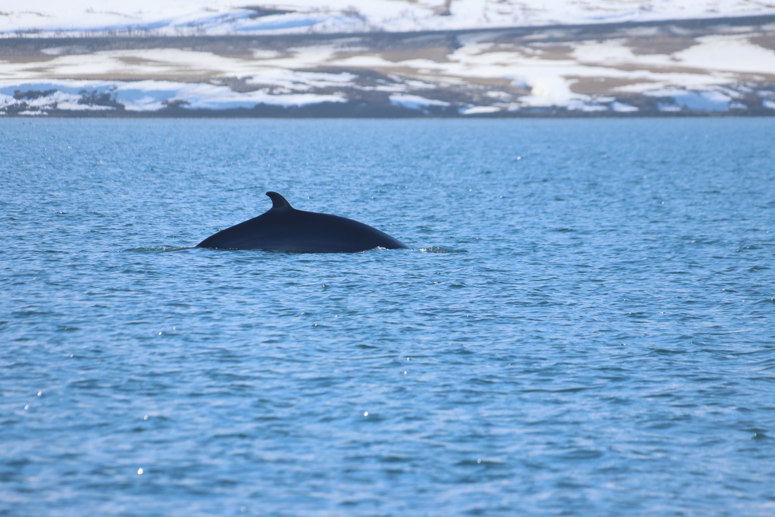Tuesday, 23 April 2024