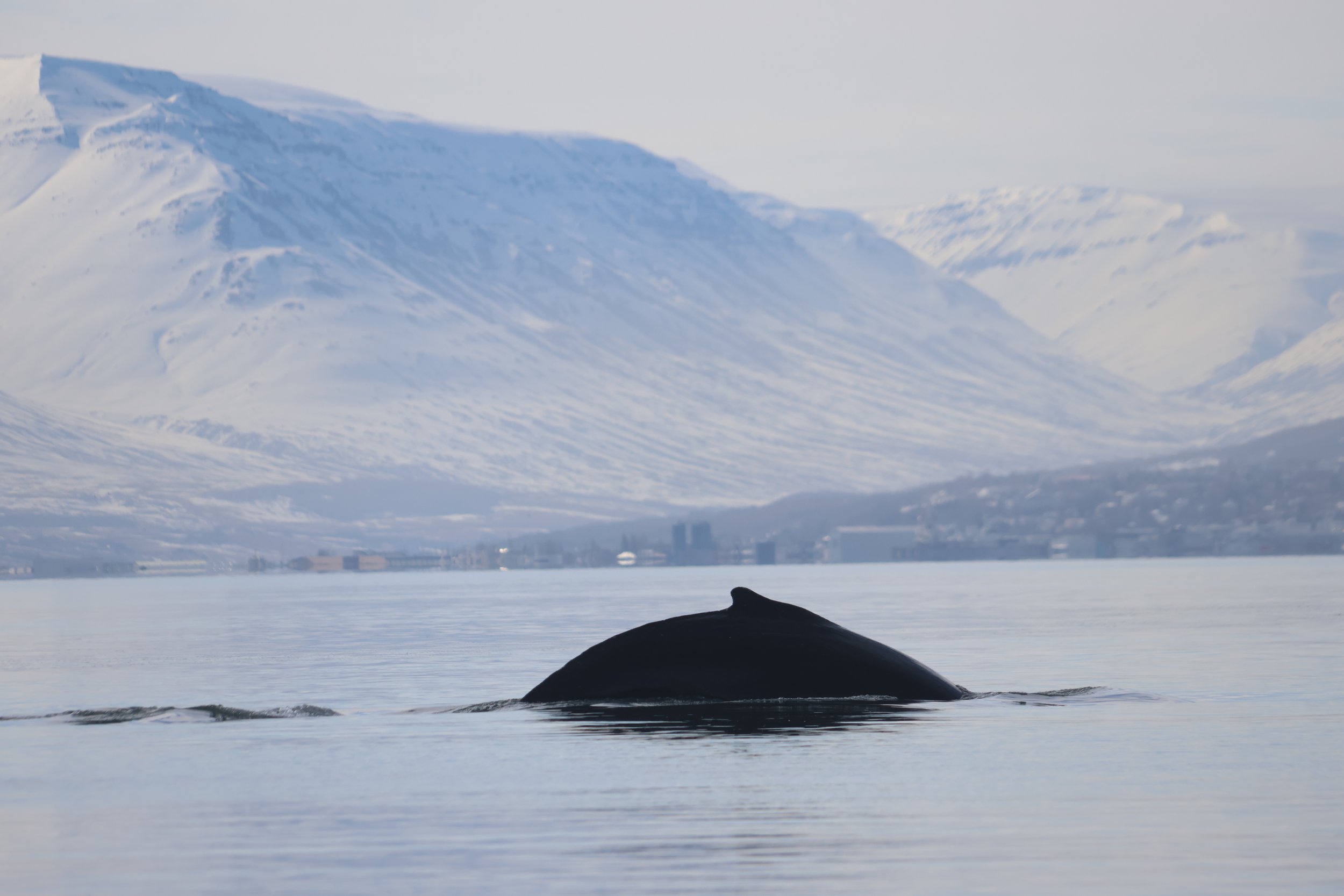 Wednesday, 24 April 2024