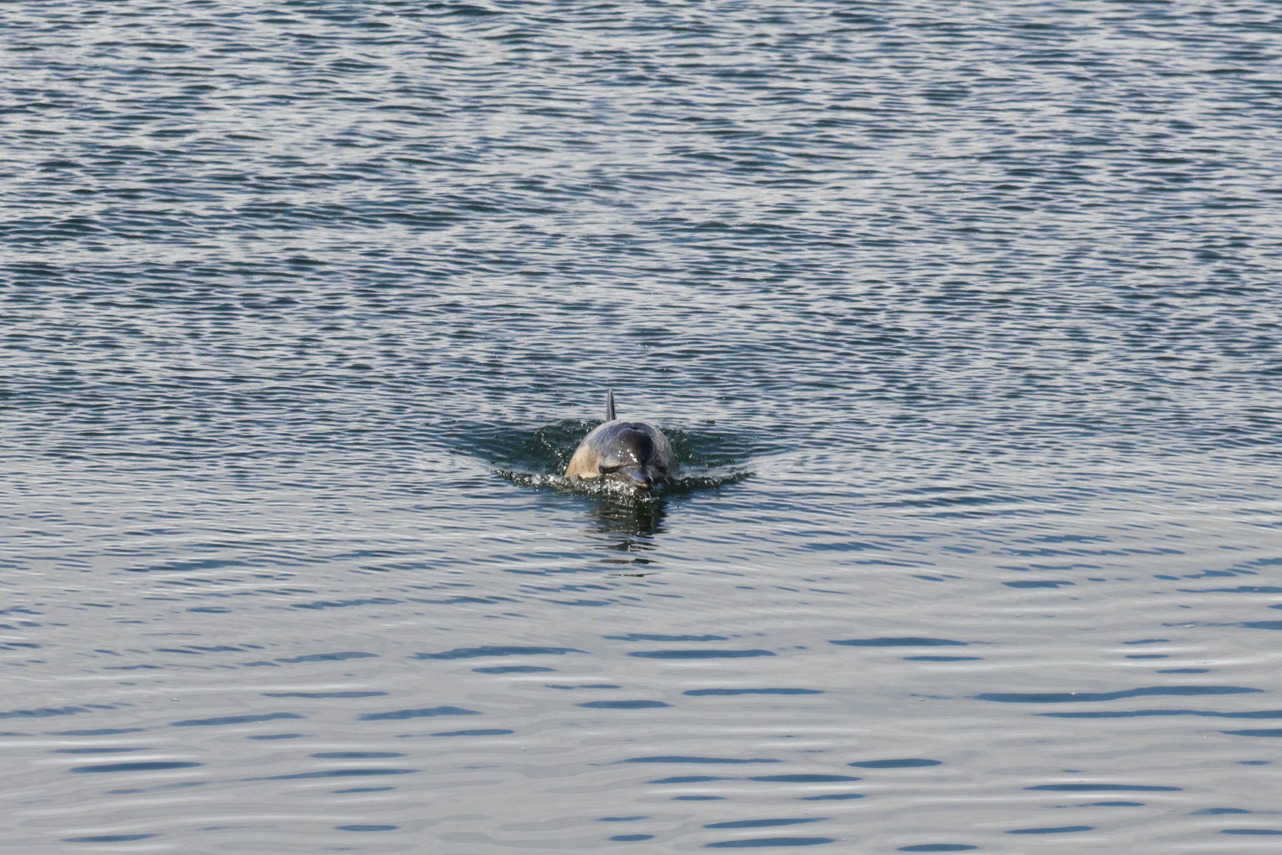 Wednesday, 1 May 2024