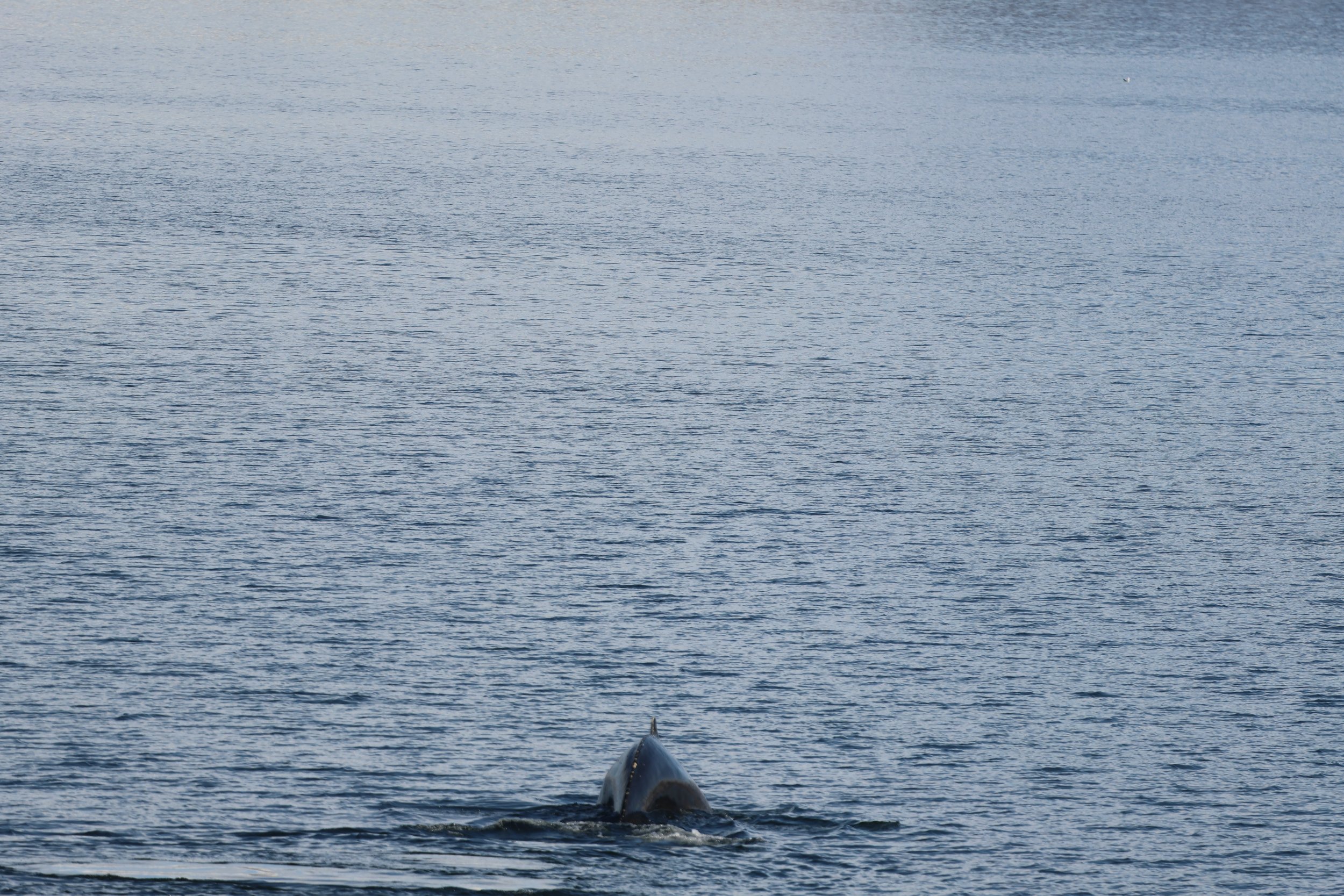 Thursday, 2 May 2024