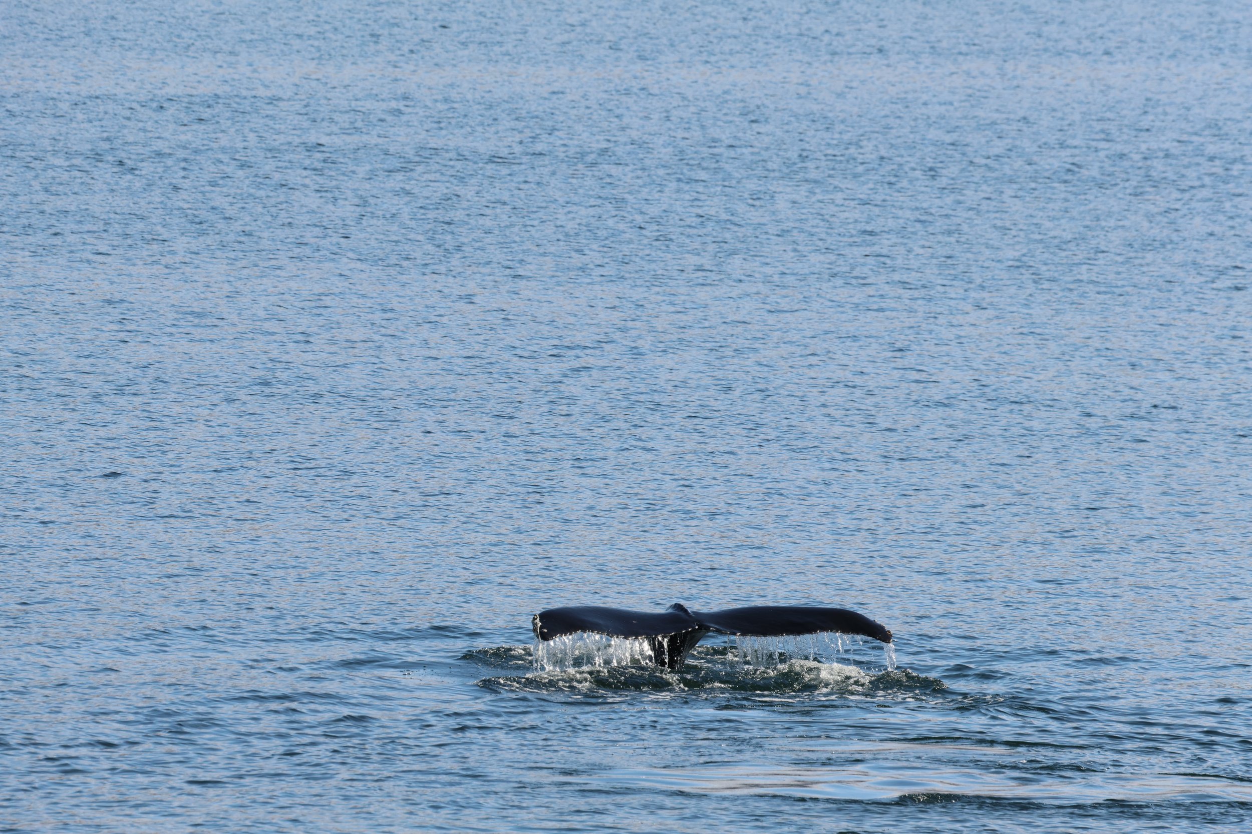 Thursday, 2 May 2024