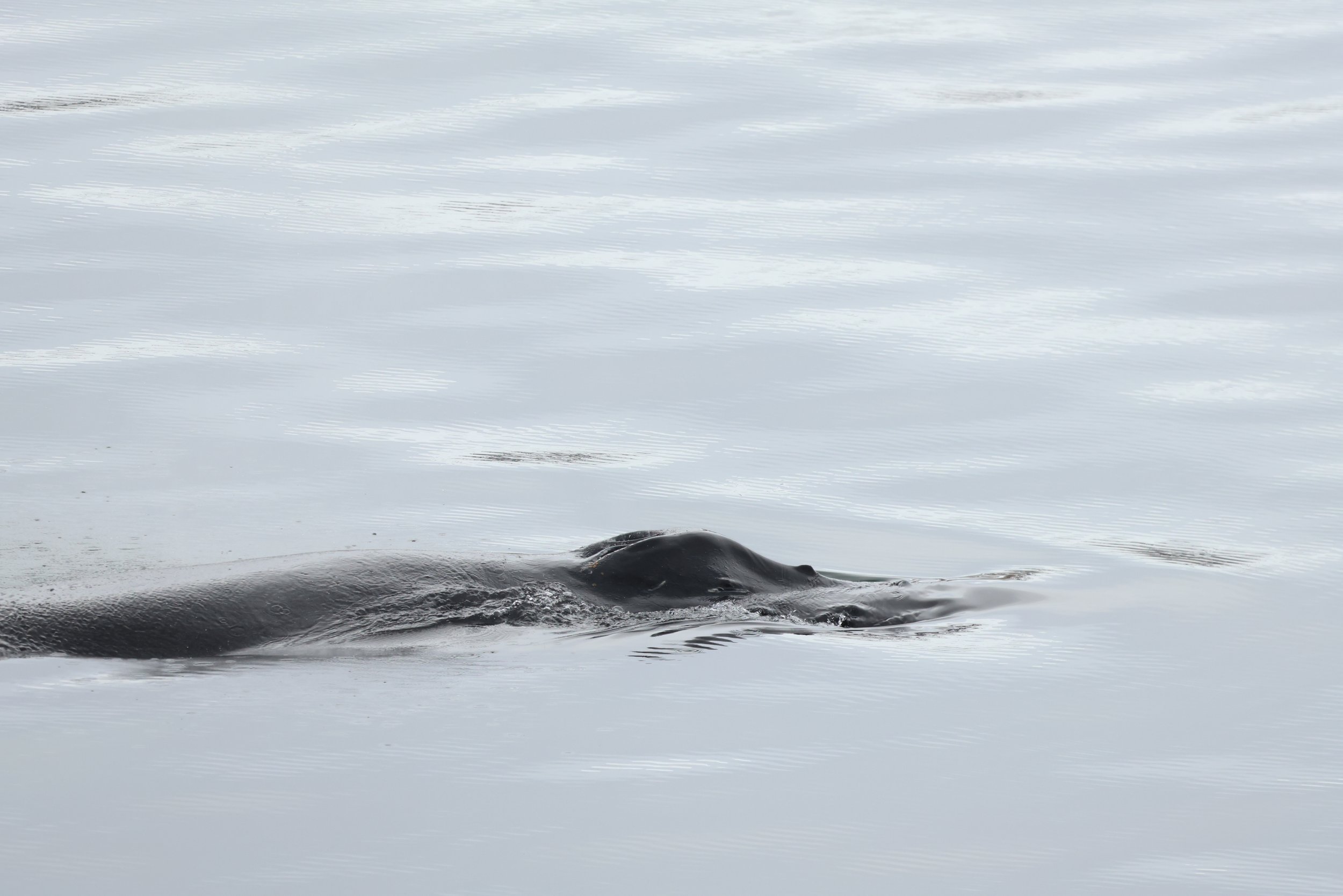 Friday, 3 May 2024
